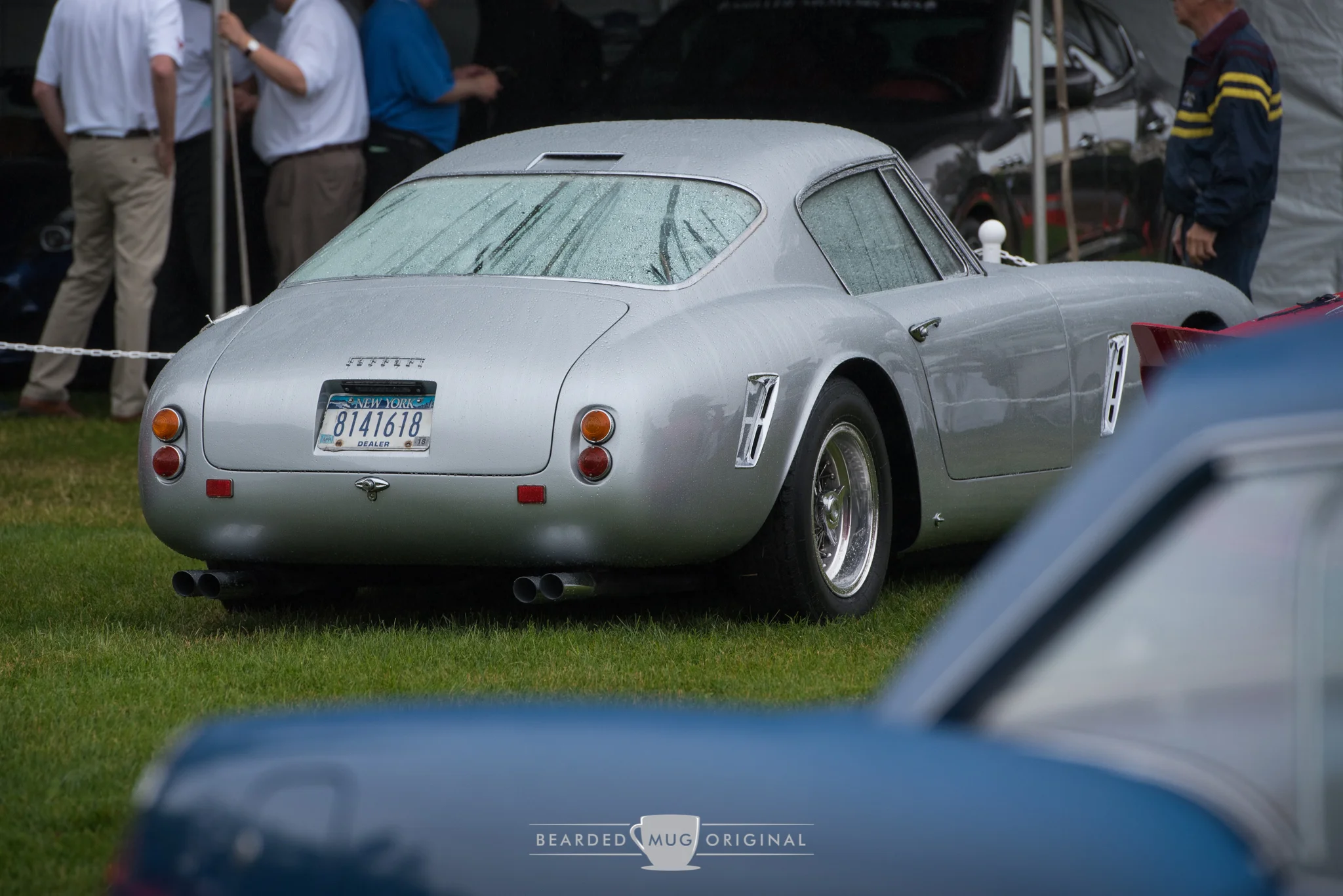 DSC_6558.jpg