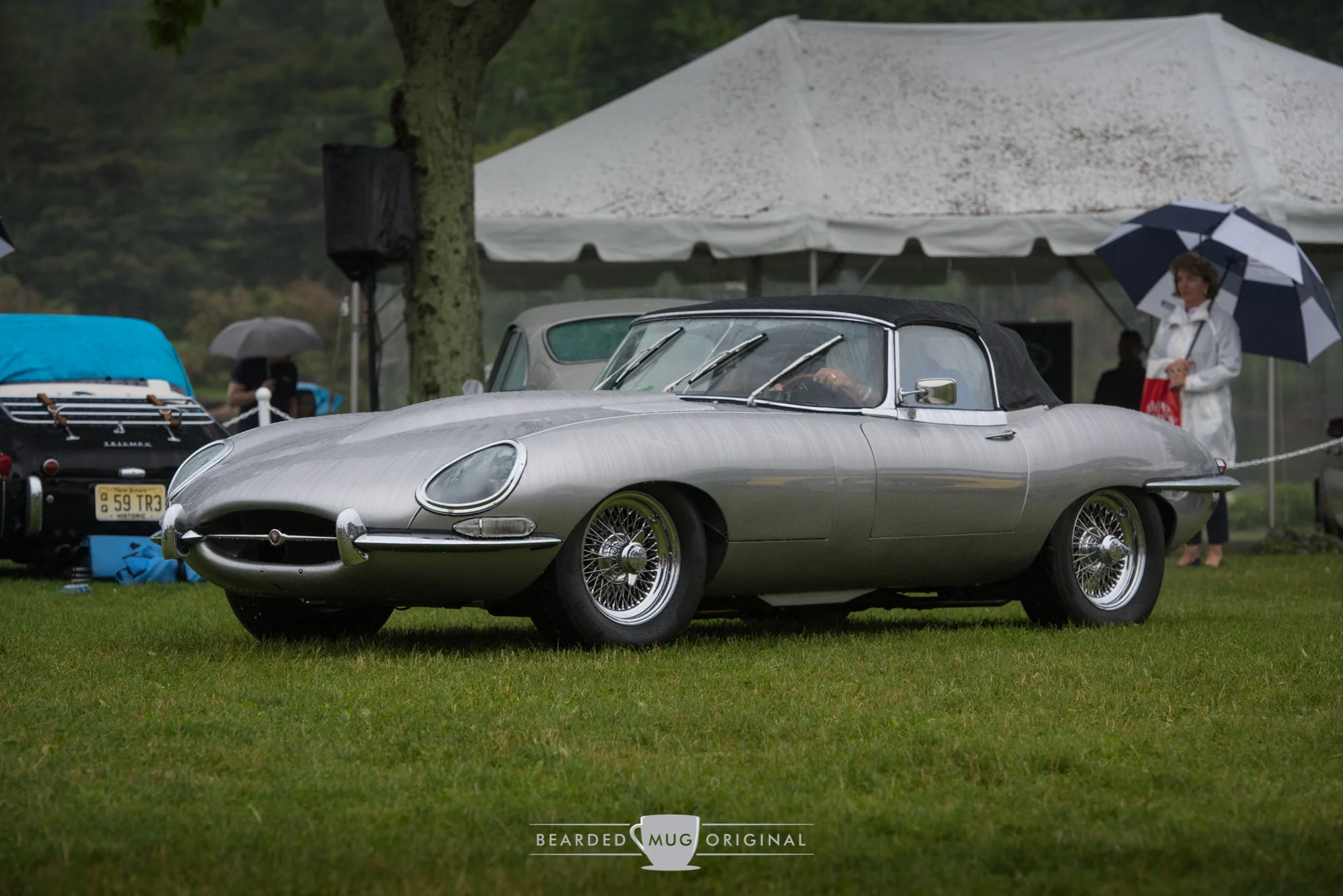 DSC_6559.jpg