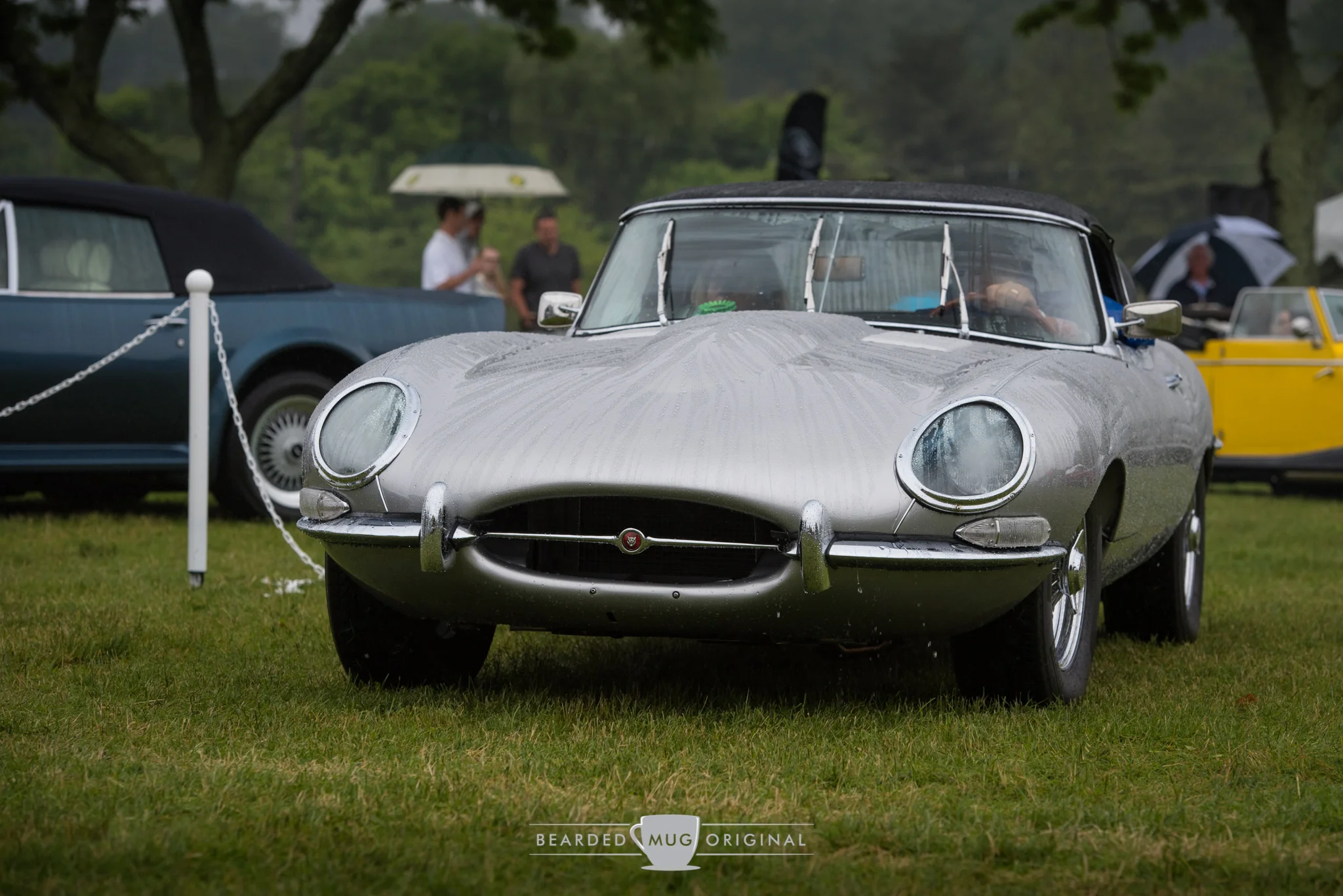 DSC_6565.jpg