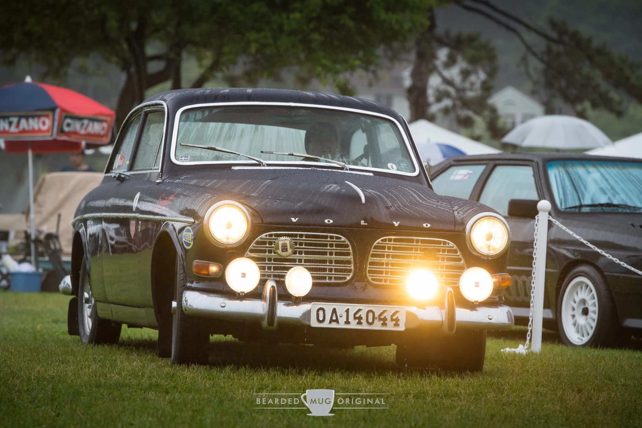 DSC_6575.jpg