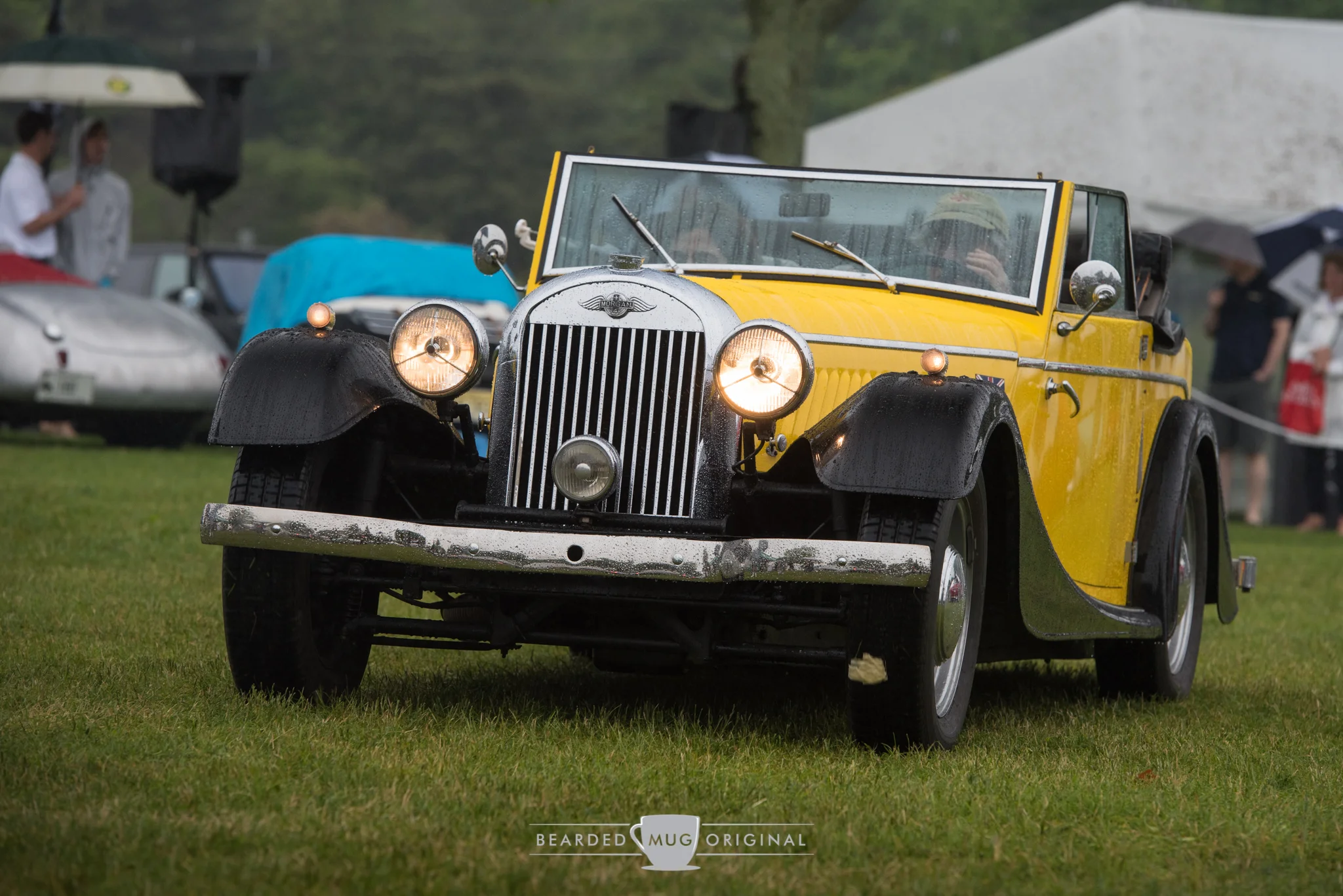 DSC_6569.jpg