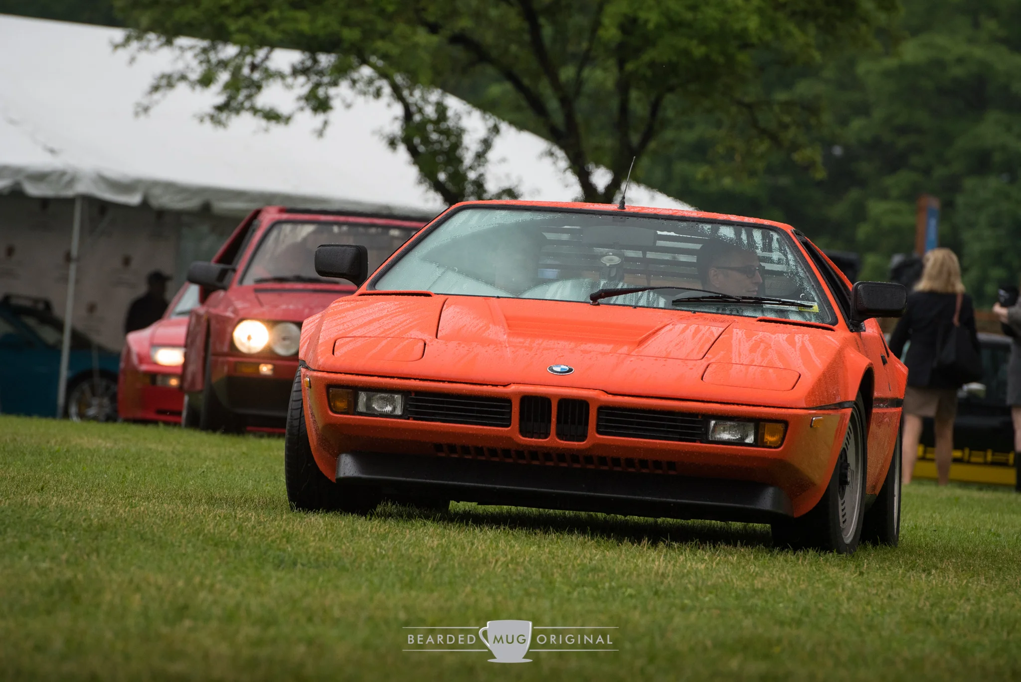 DSC_6900.jpg
