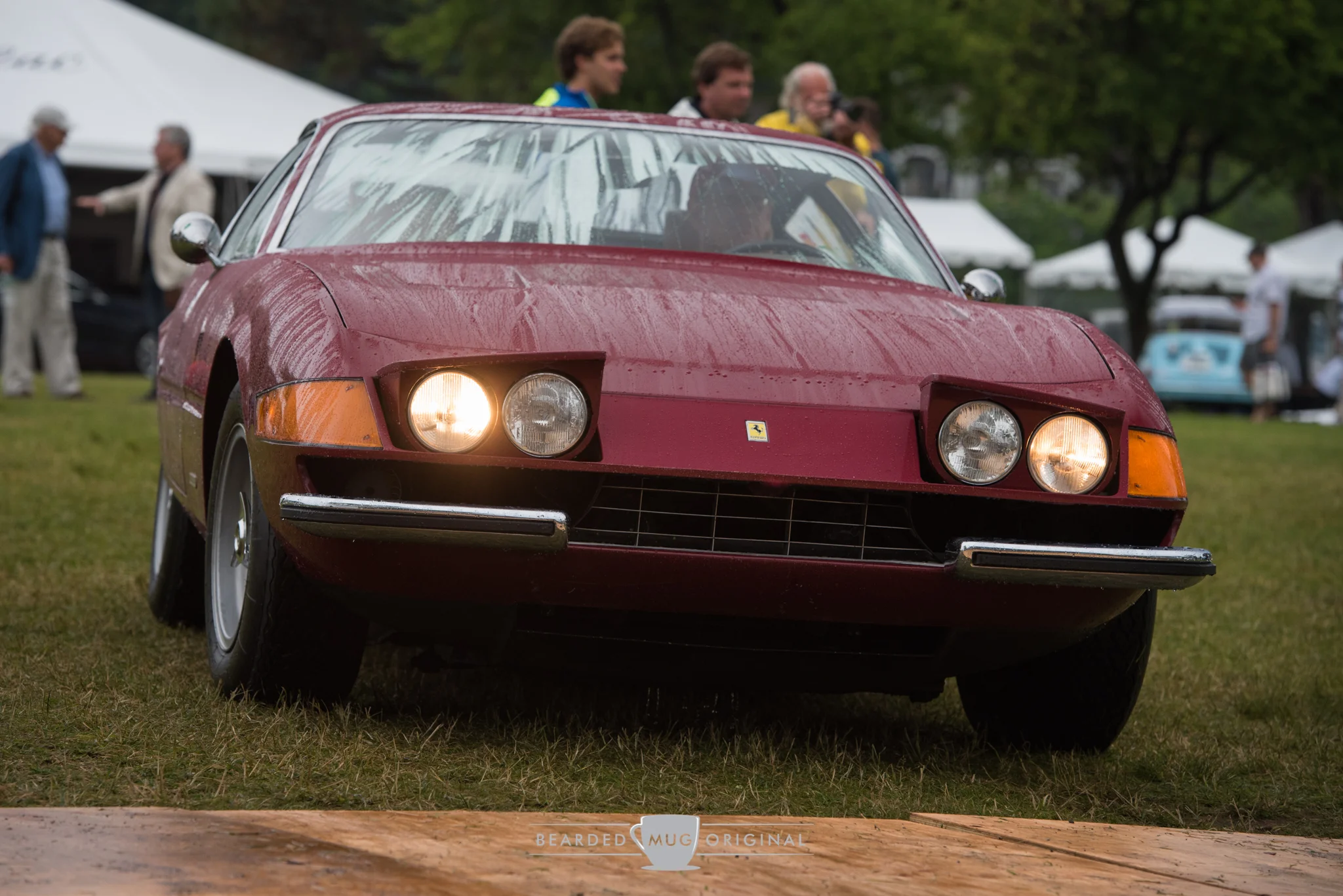 DSC_6953.jpg