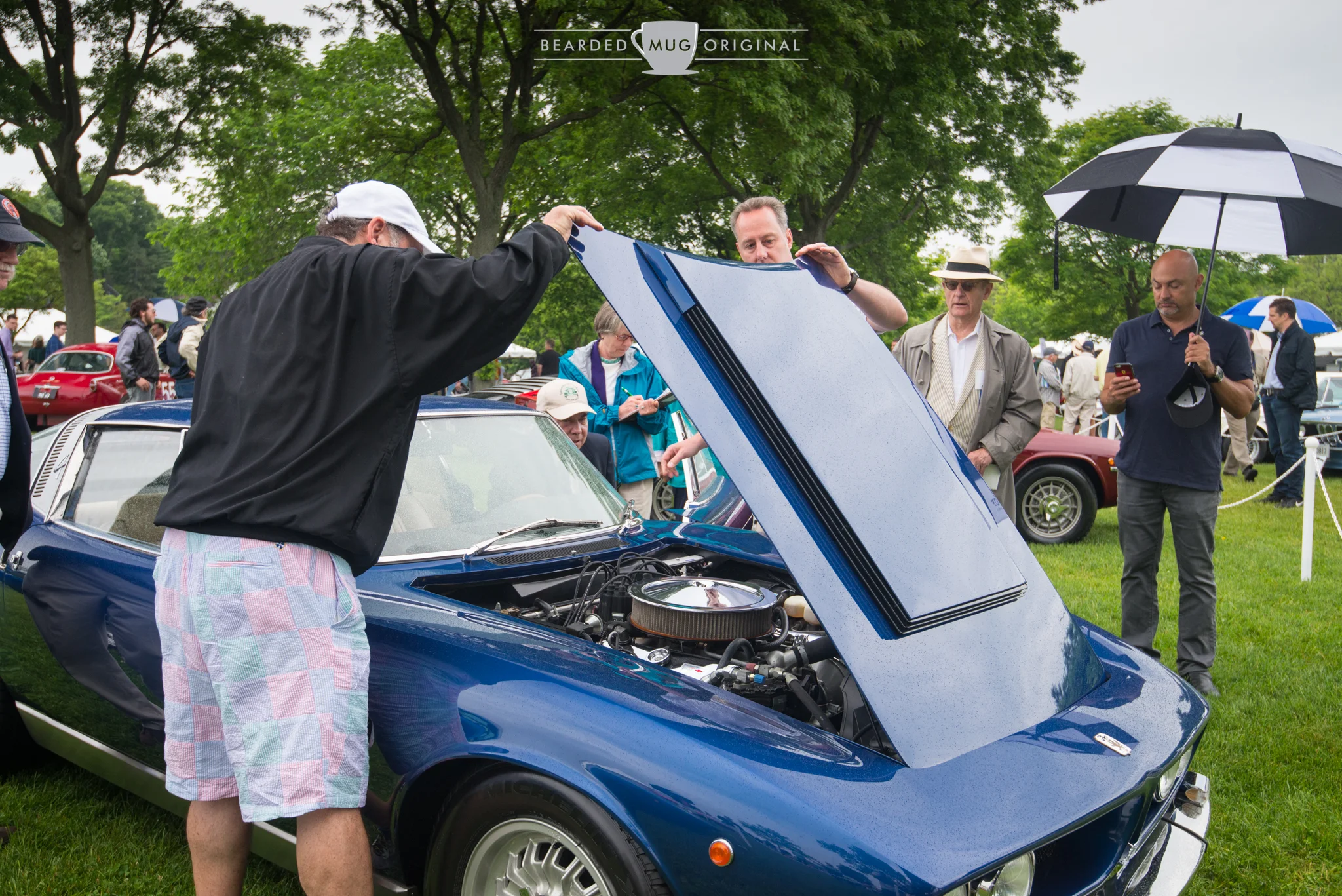 DSC_7786.jpg