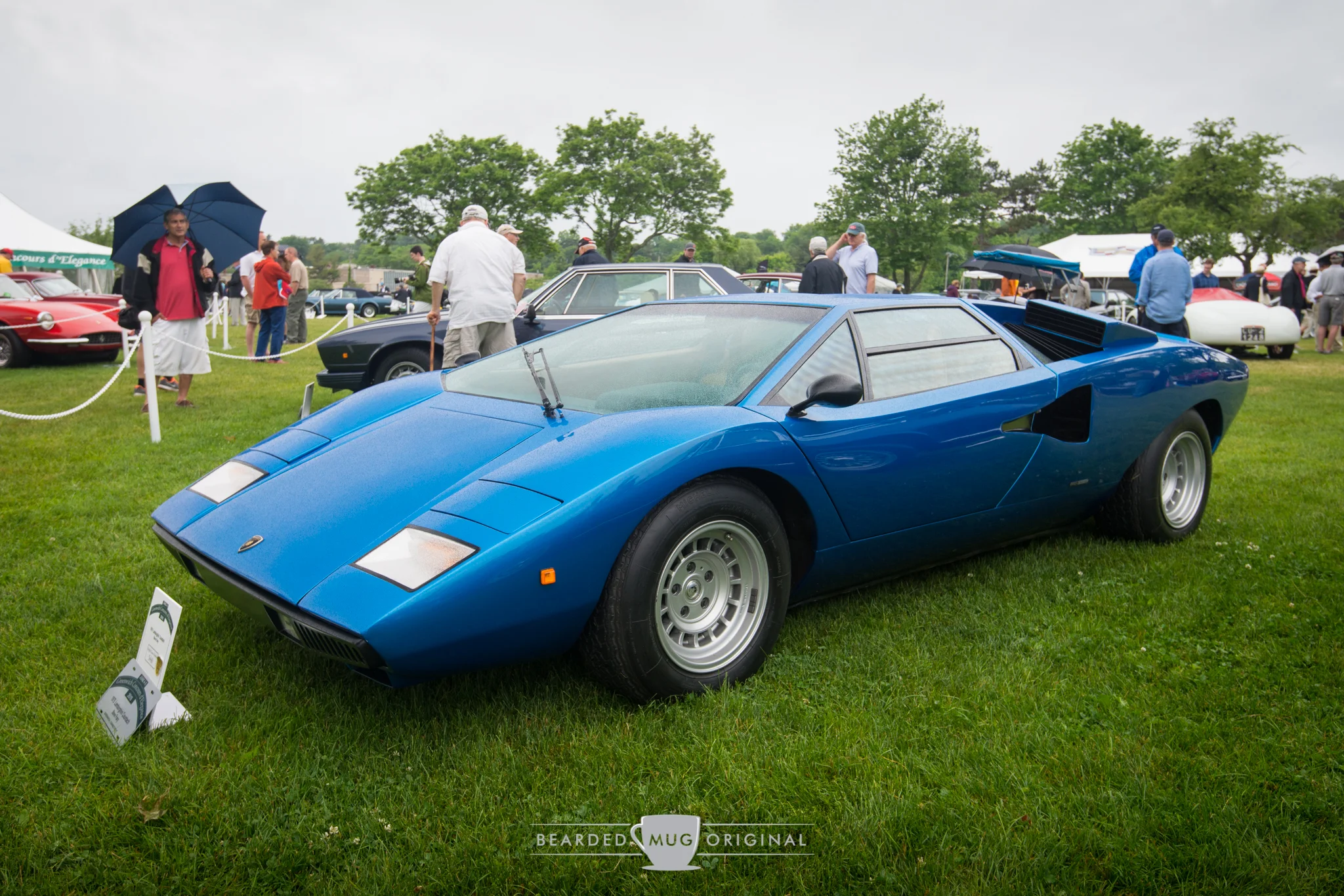 DSC_7782.jpg