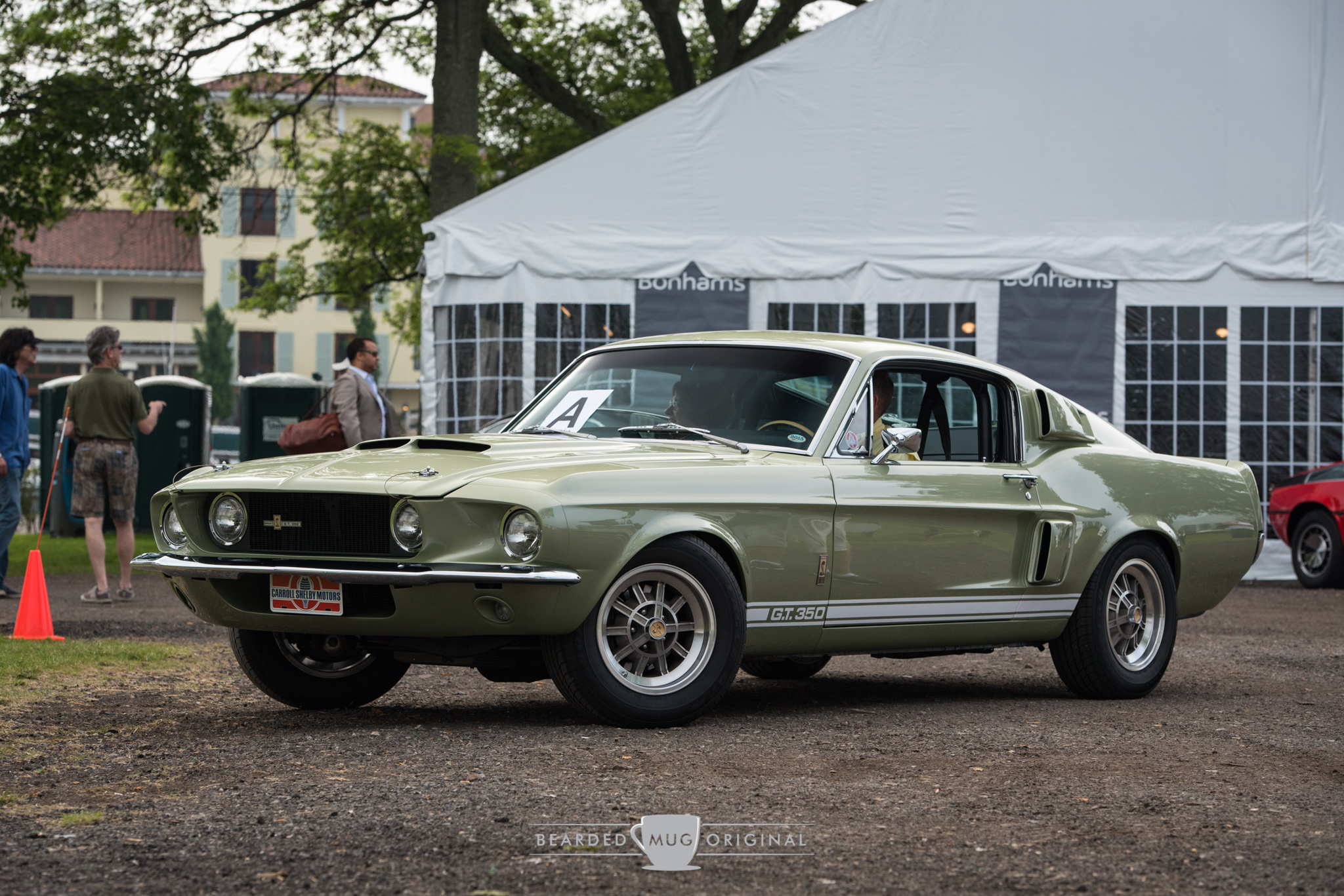 DSC_4192.jpg