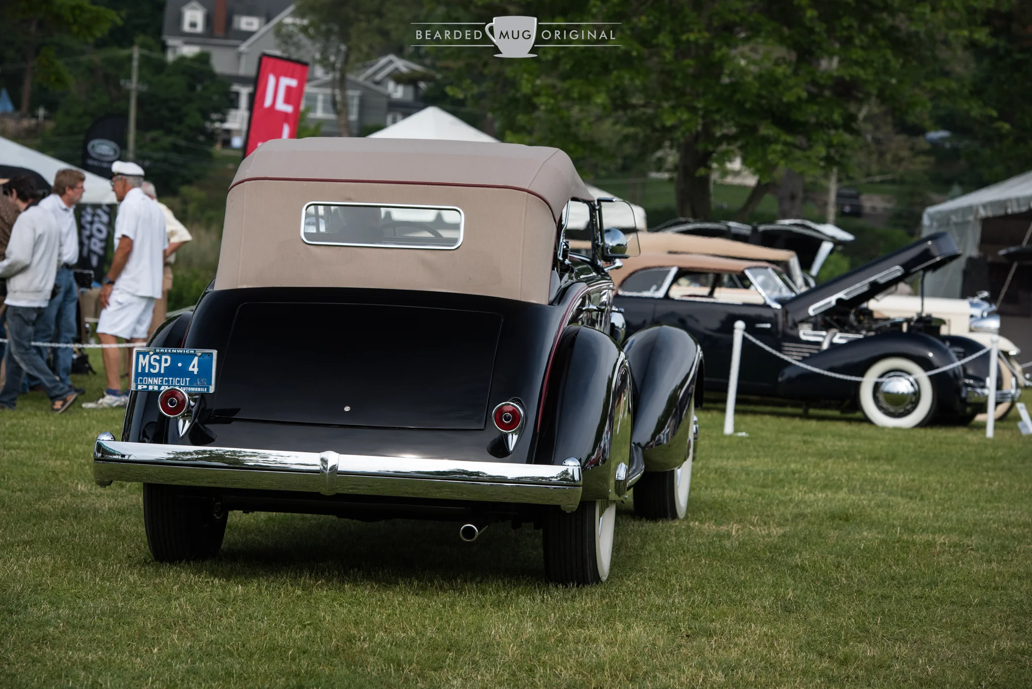 DSC_4451.jpg