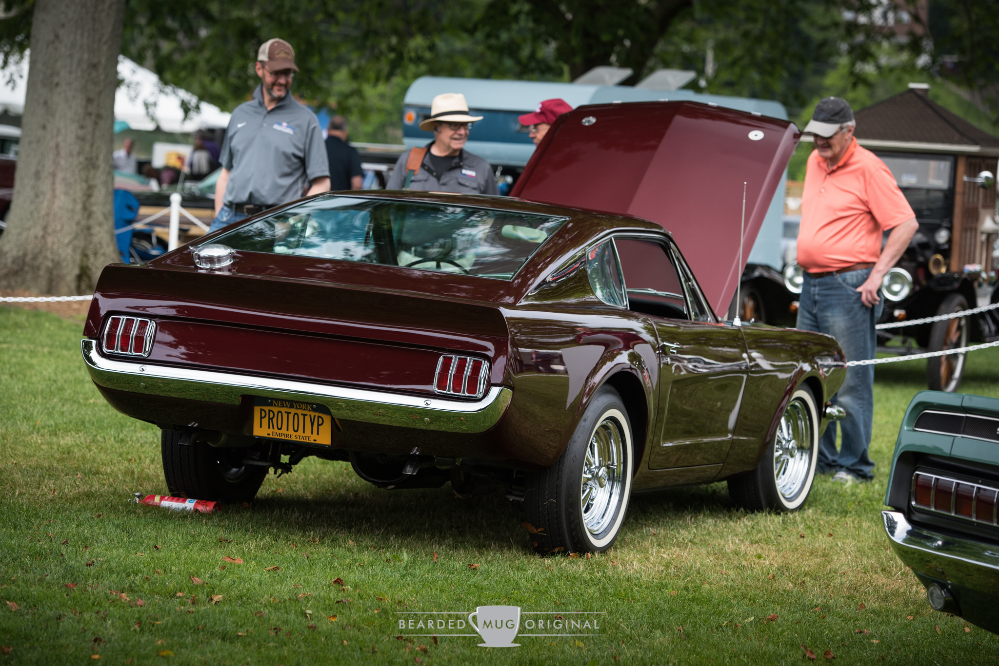 DSC_4551.jpg