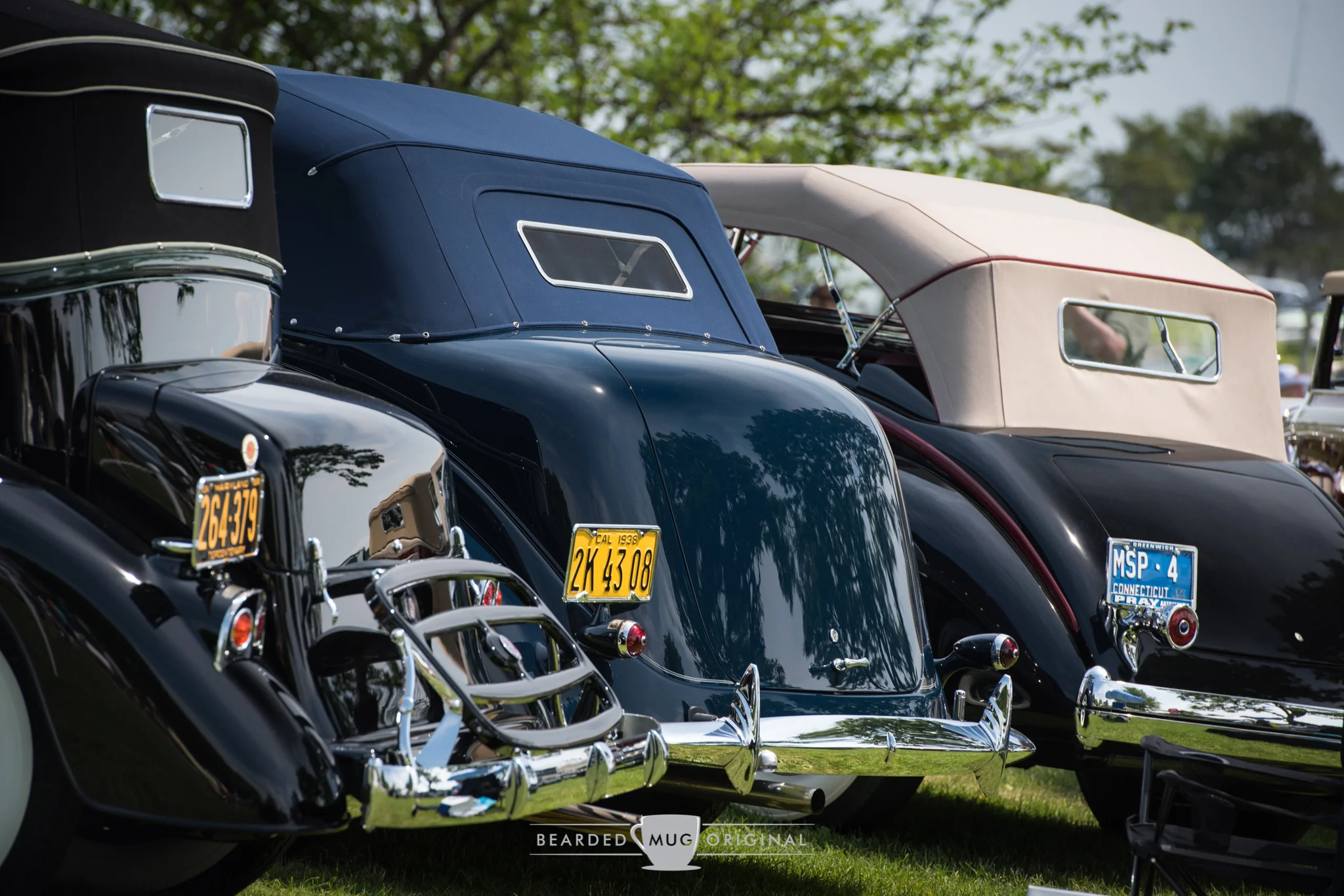 DSC_5029.jpg