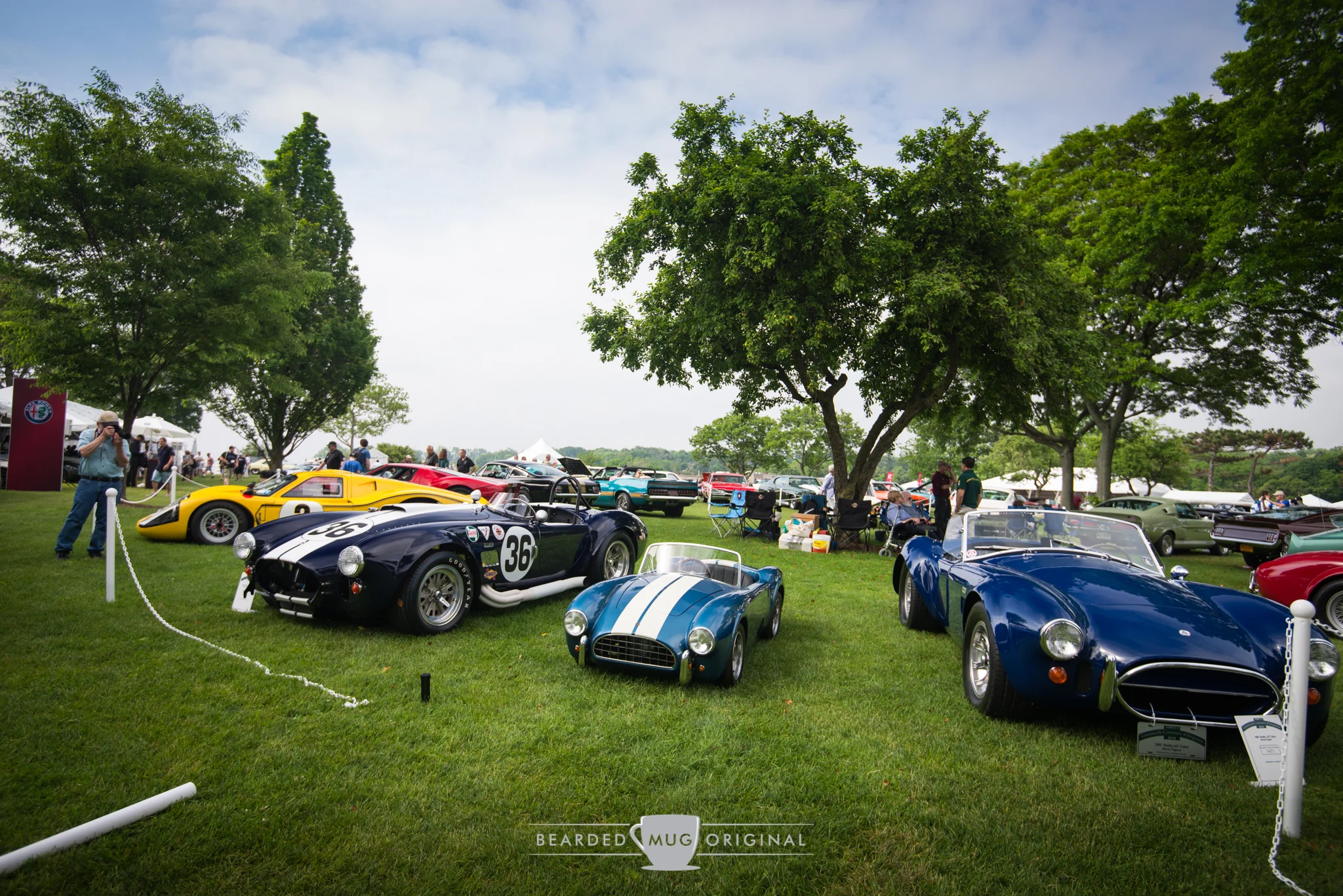 DSC_7632.jpg