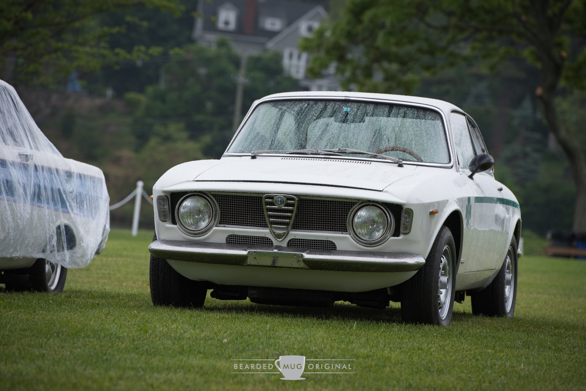 DSC_3225.jpg