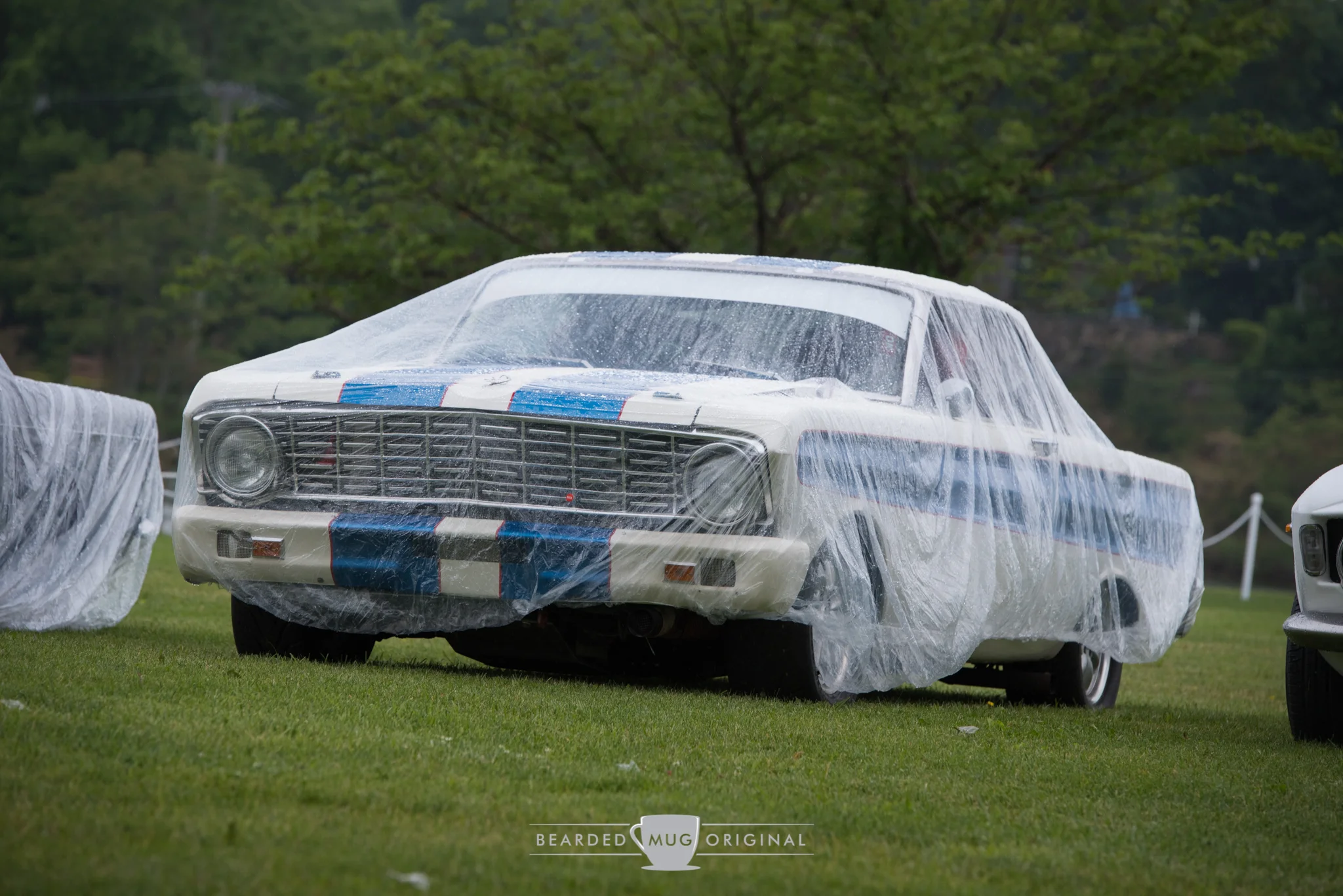 DSC_3226.jpg
