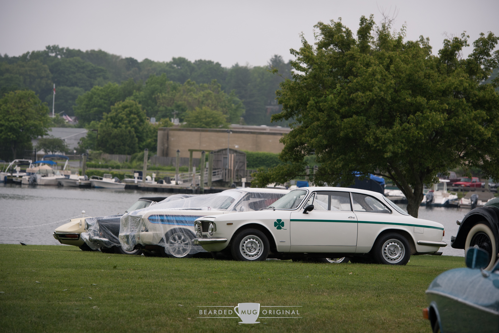 DSC_3229.jpg