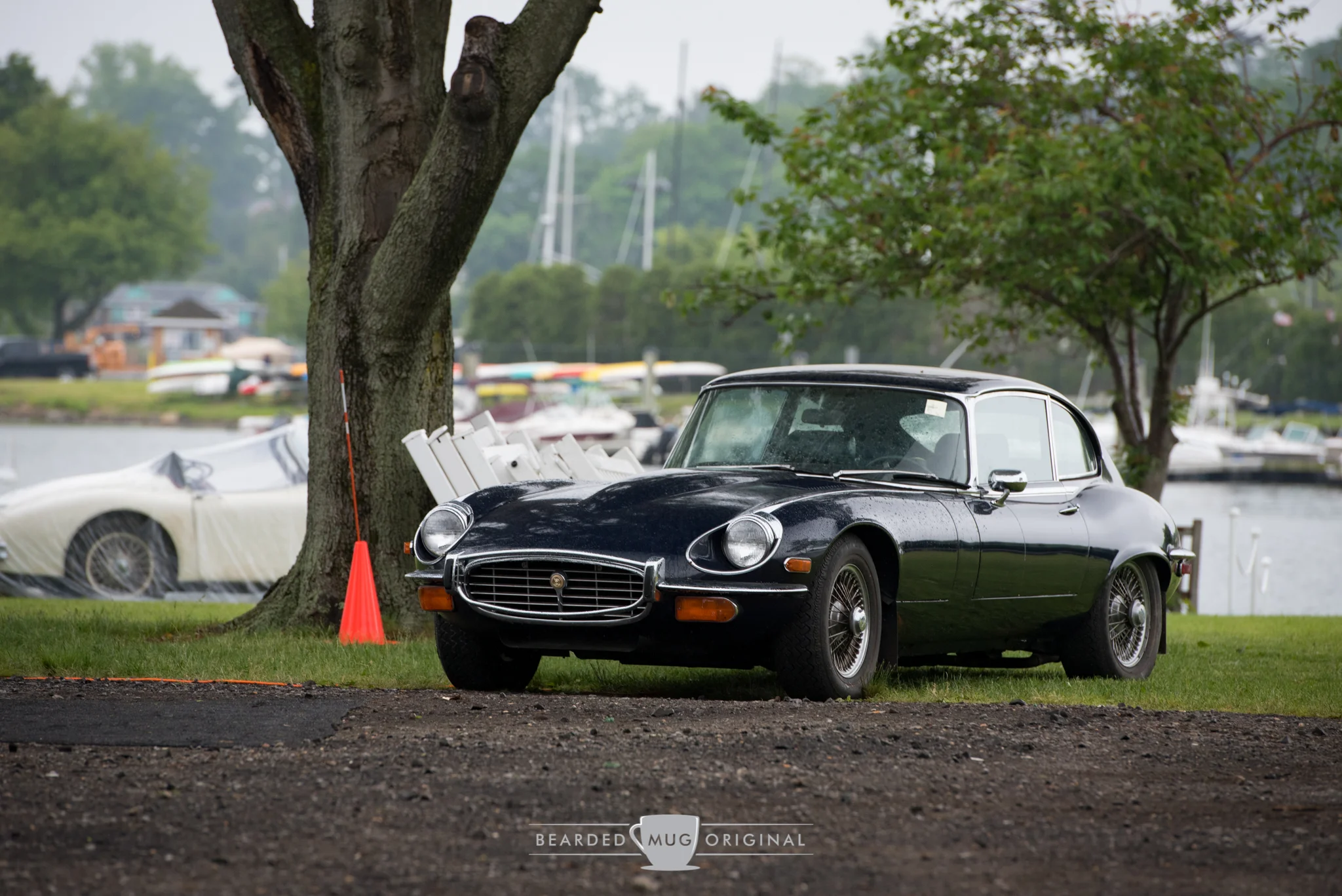 DSC_3233.jpg
