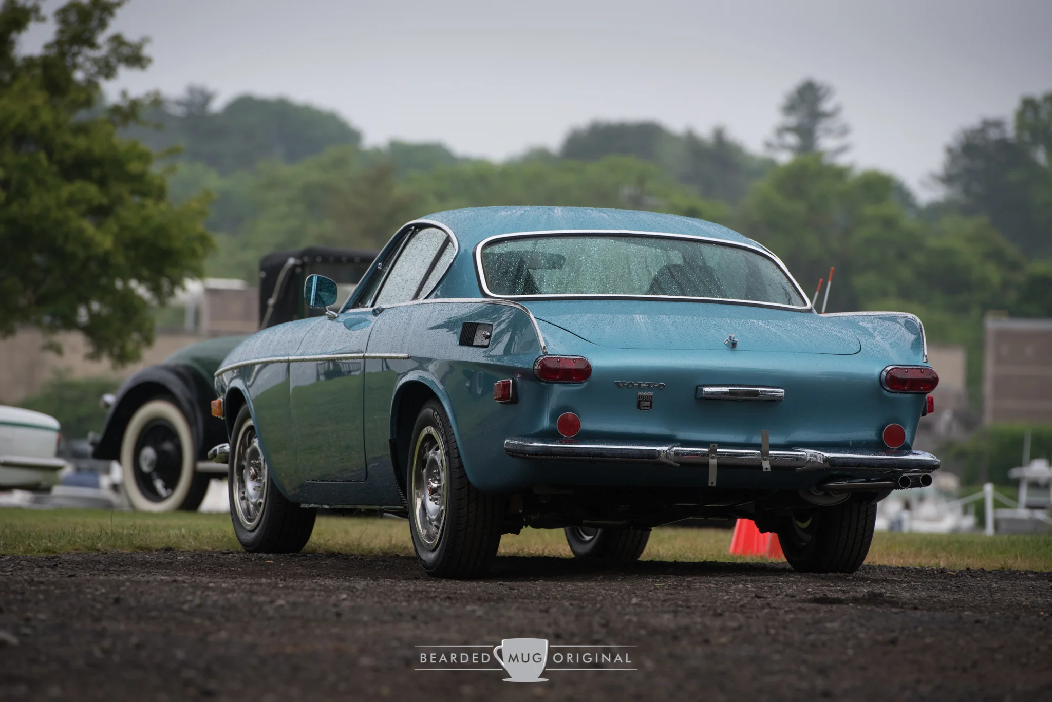 DSC_3236.jpg