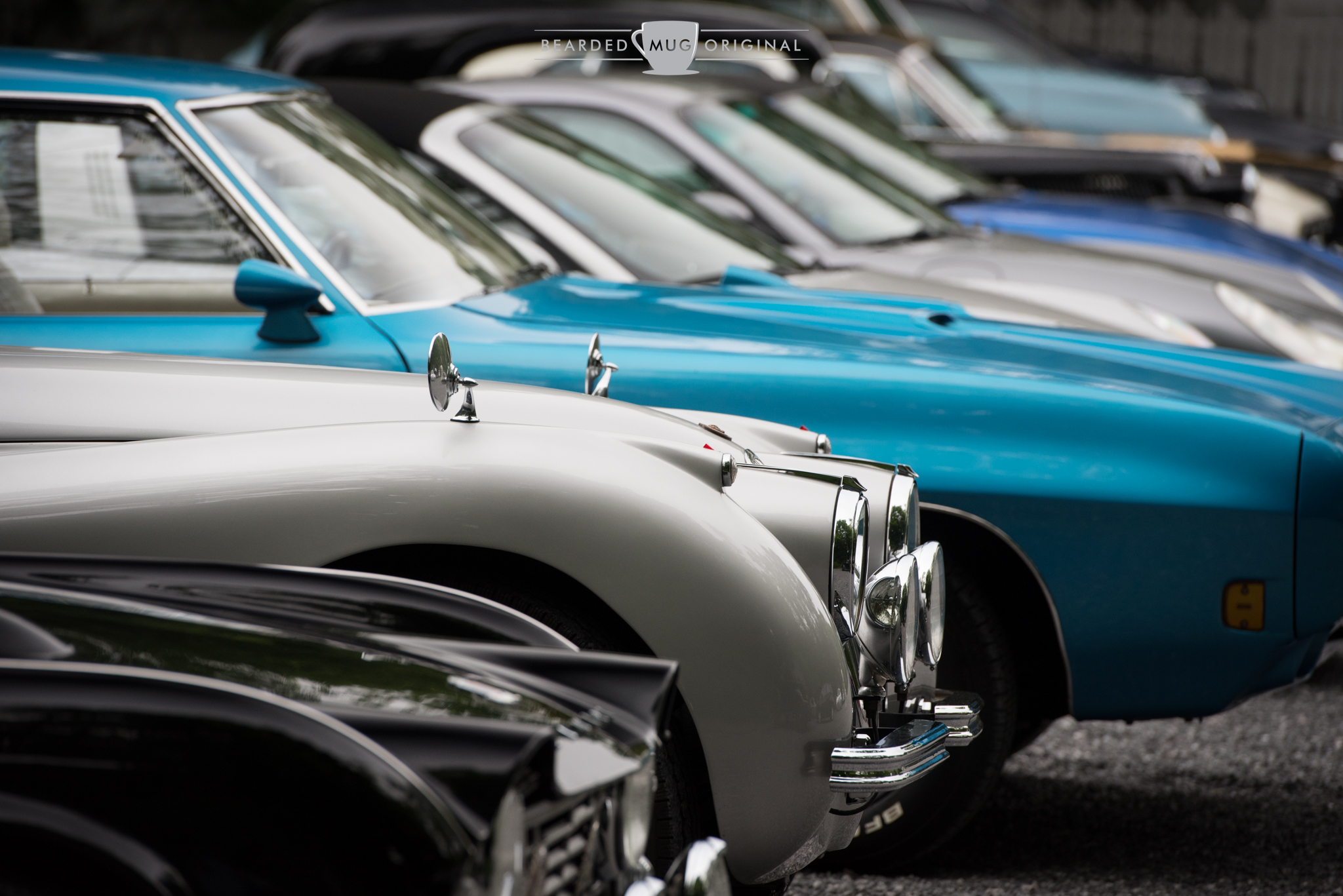 DSC_3490.jpg
