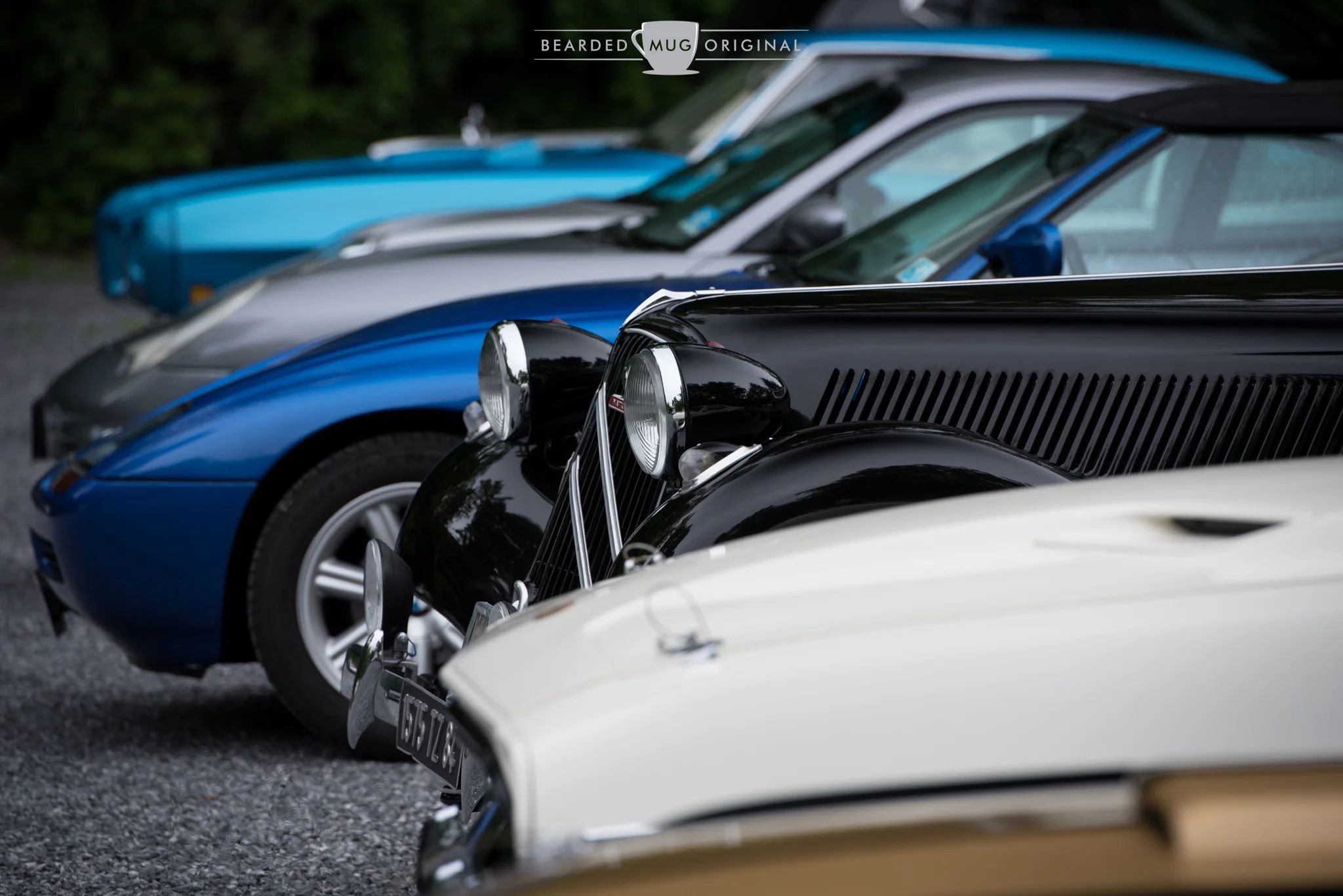DSC_3495.jpg