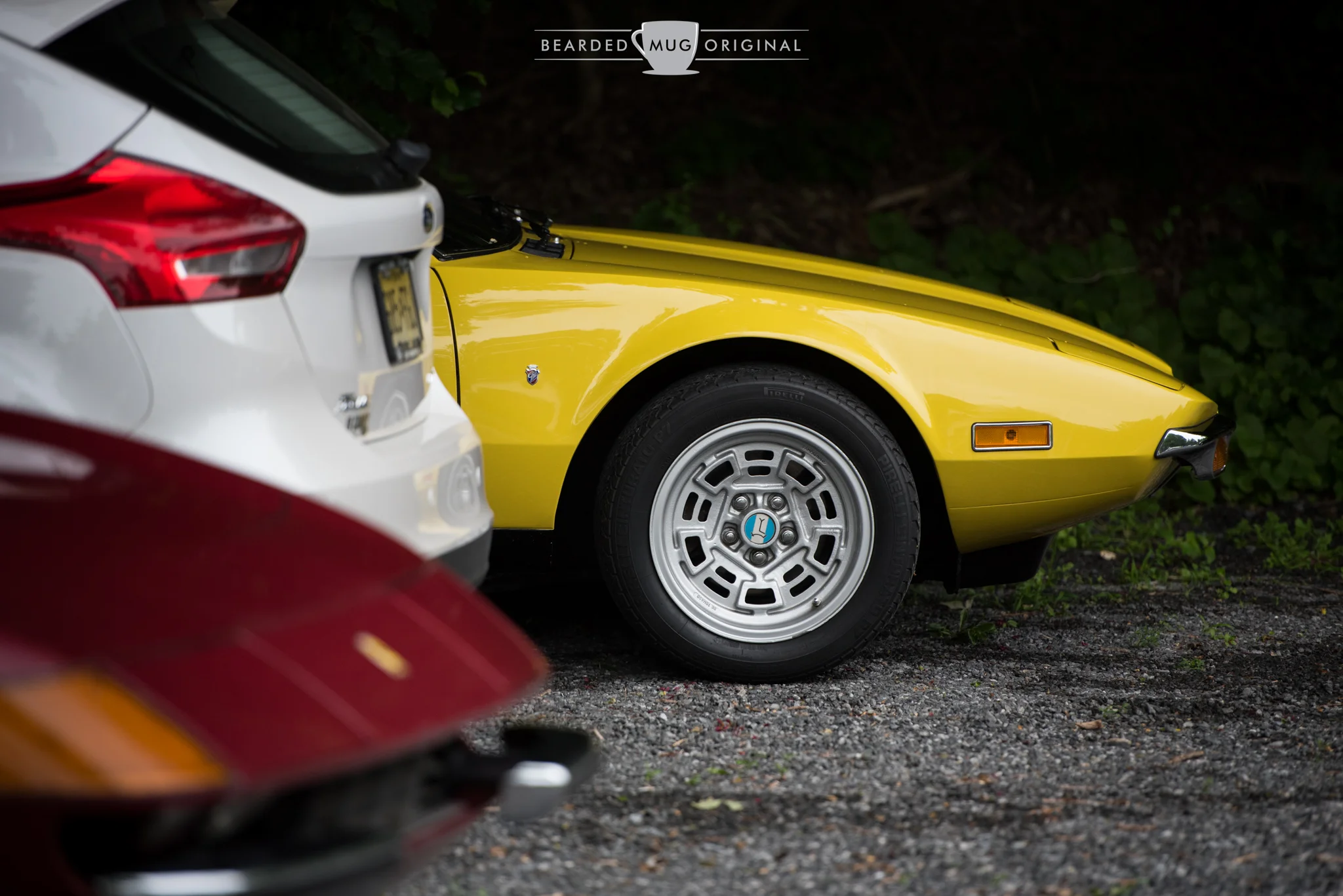 DSC_3534.jpg