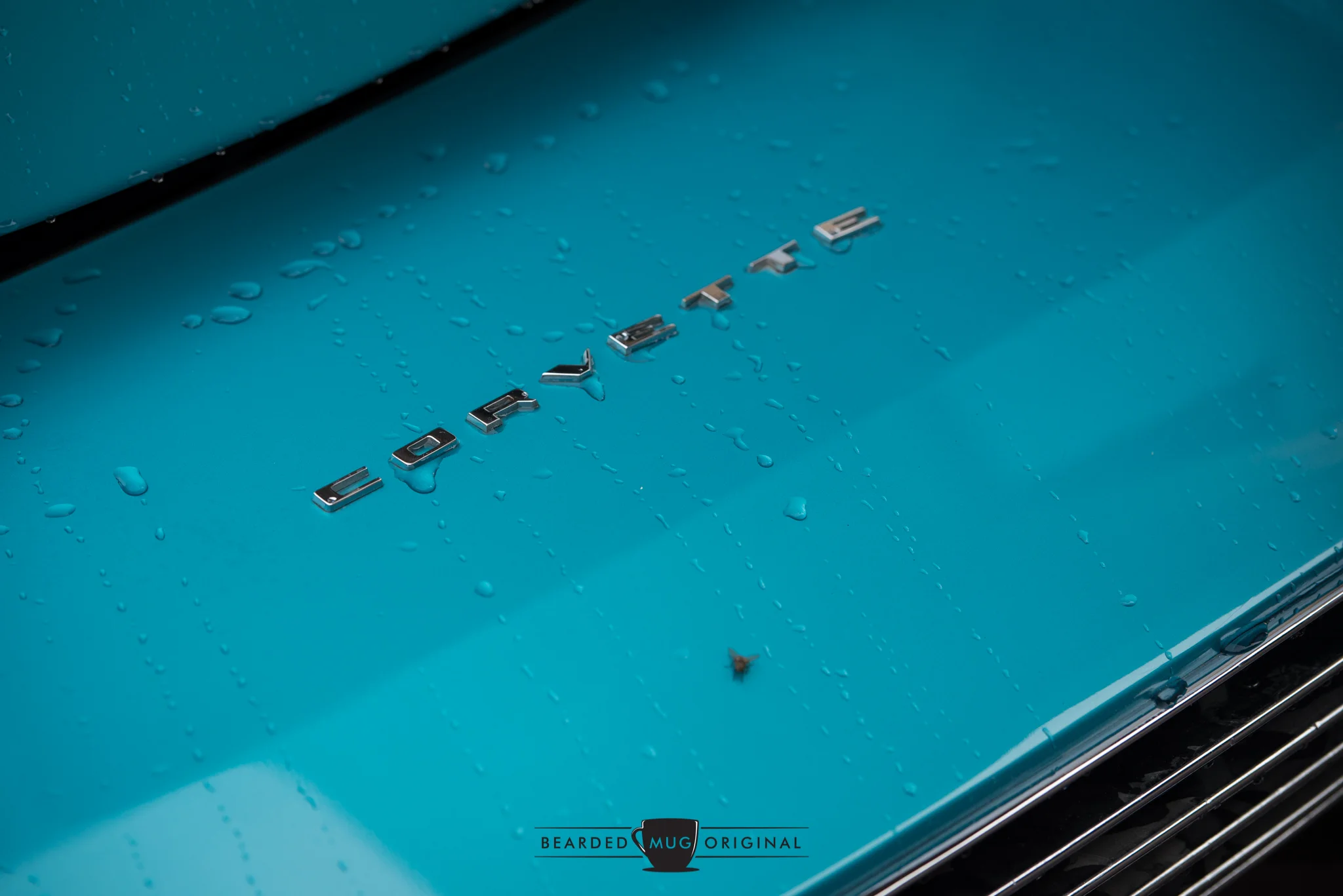 DSC_3689.jpg