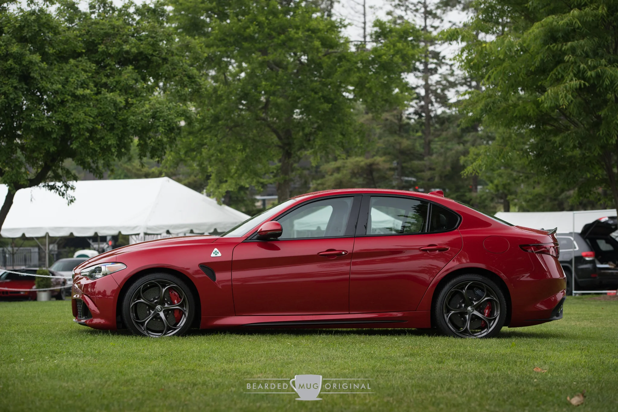 DSC_3766.jpg