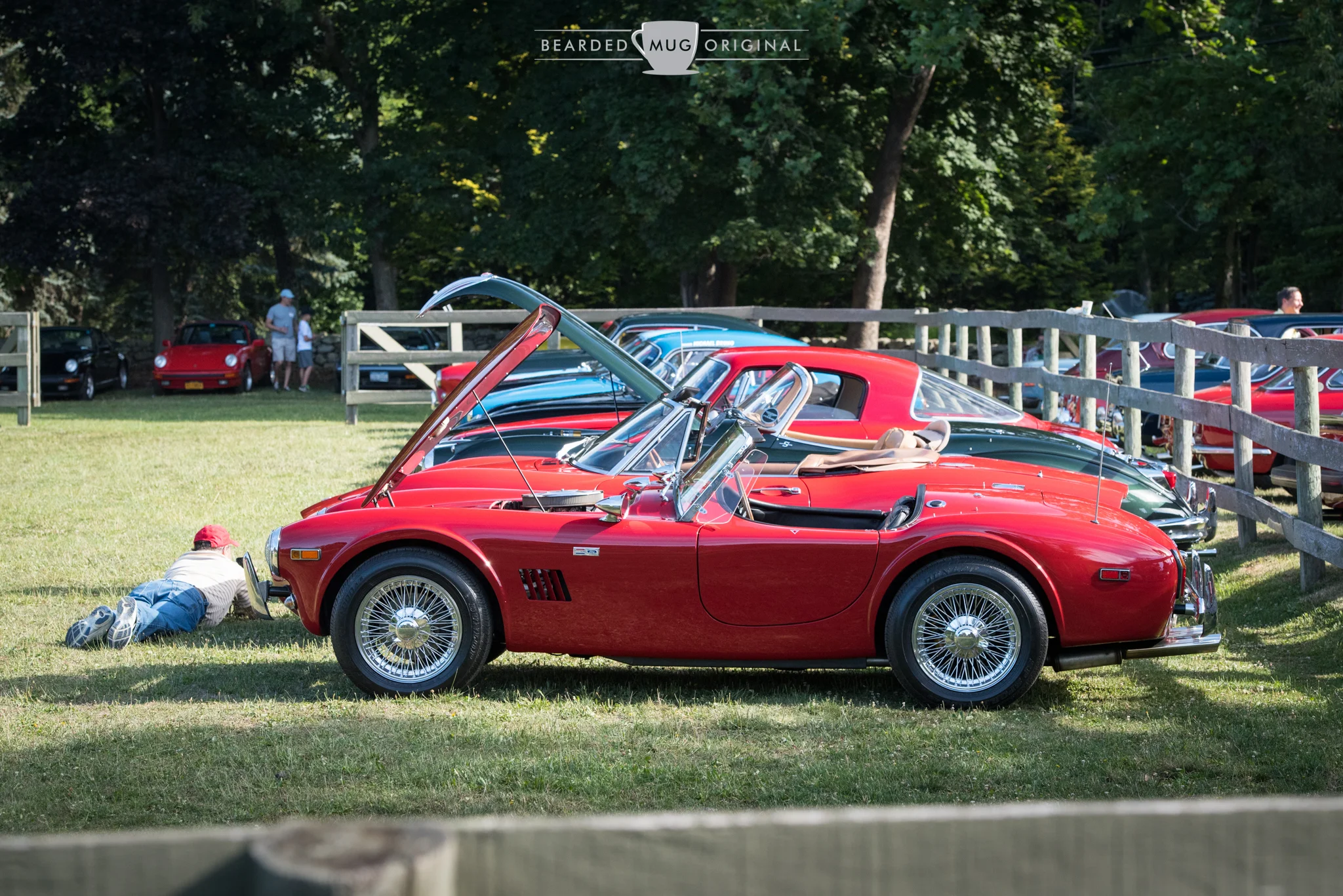 DSC_0962.jpg