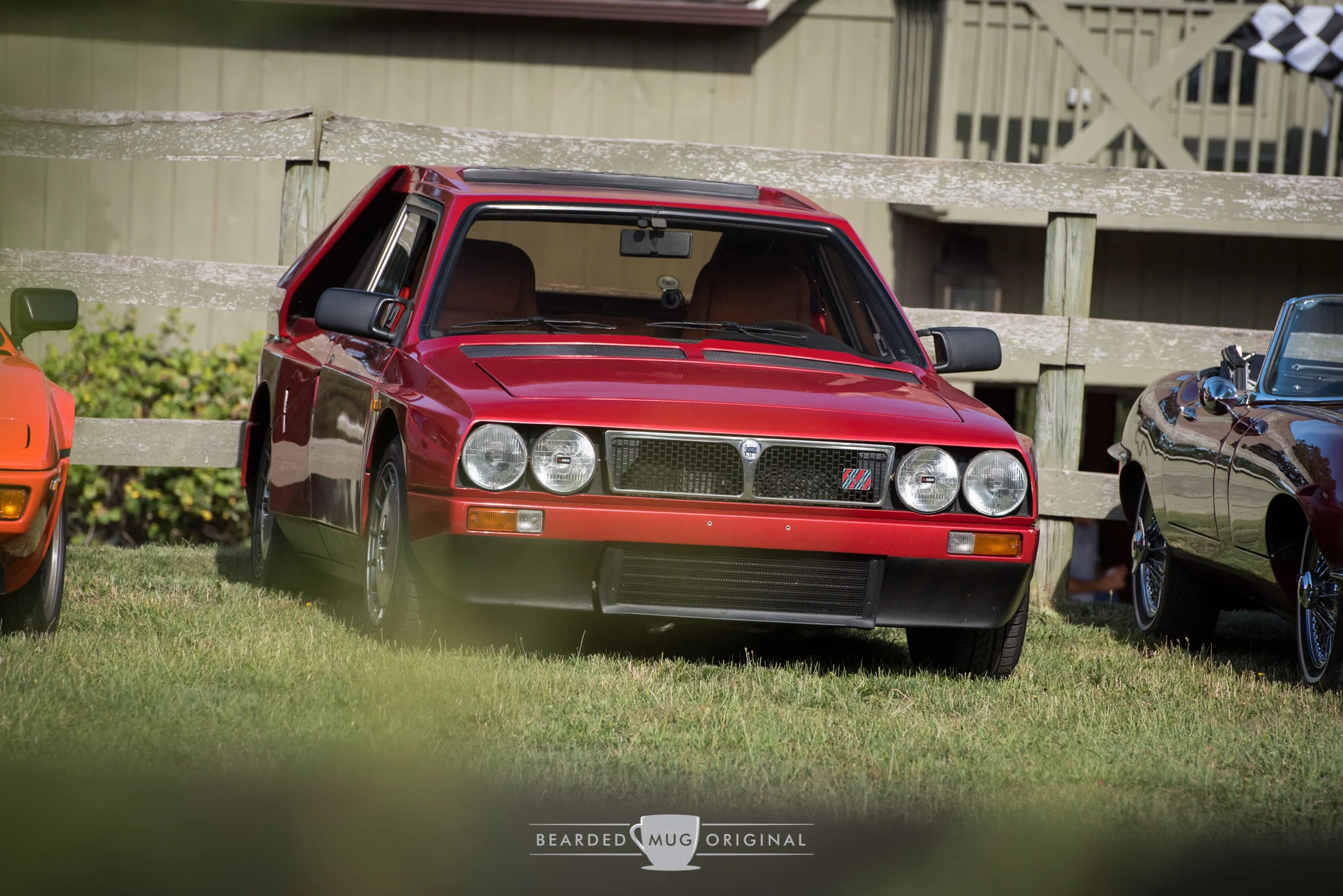 DSC_0974.jpg