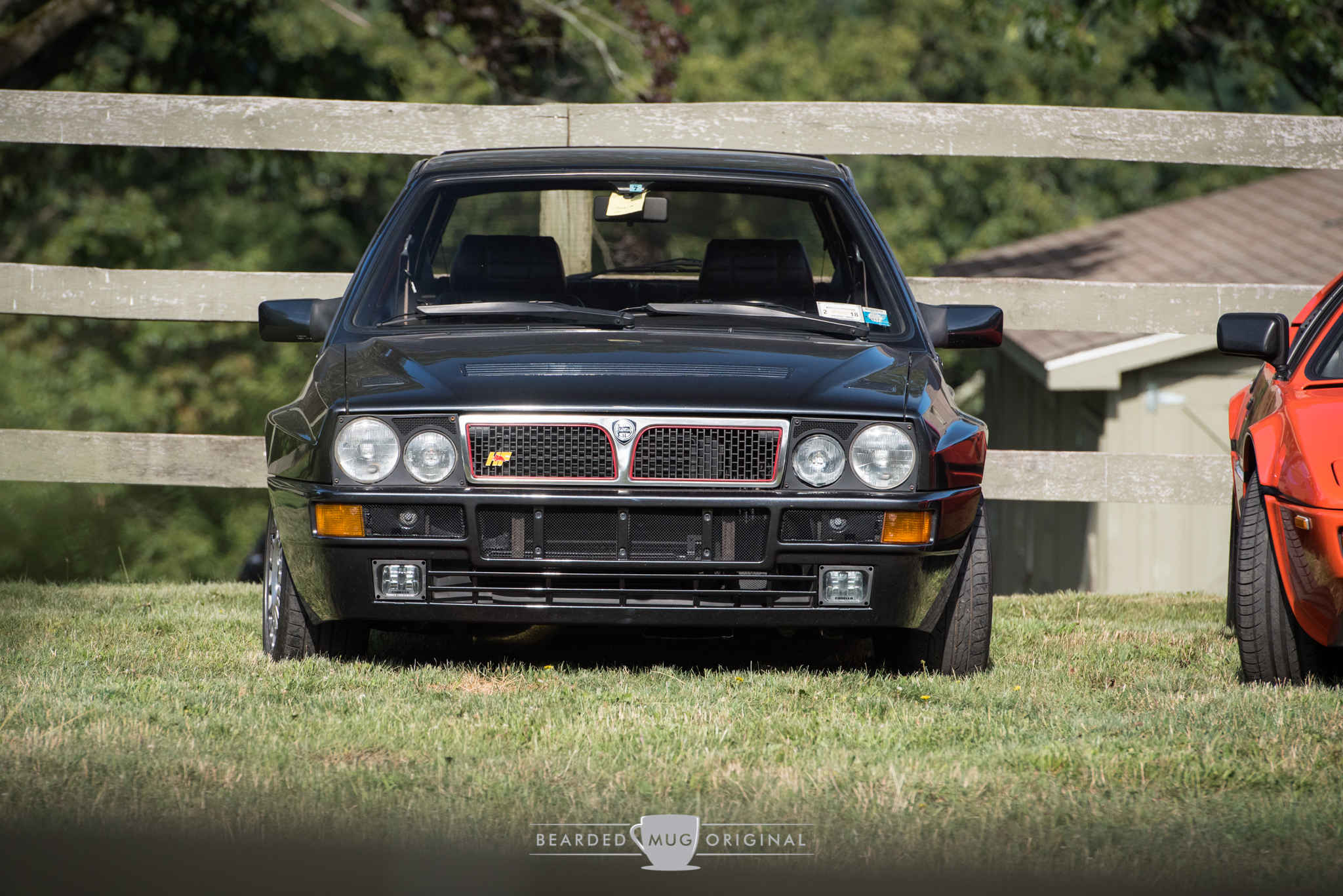 DSC_0984.jpg