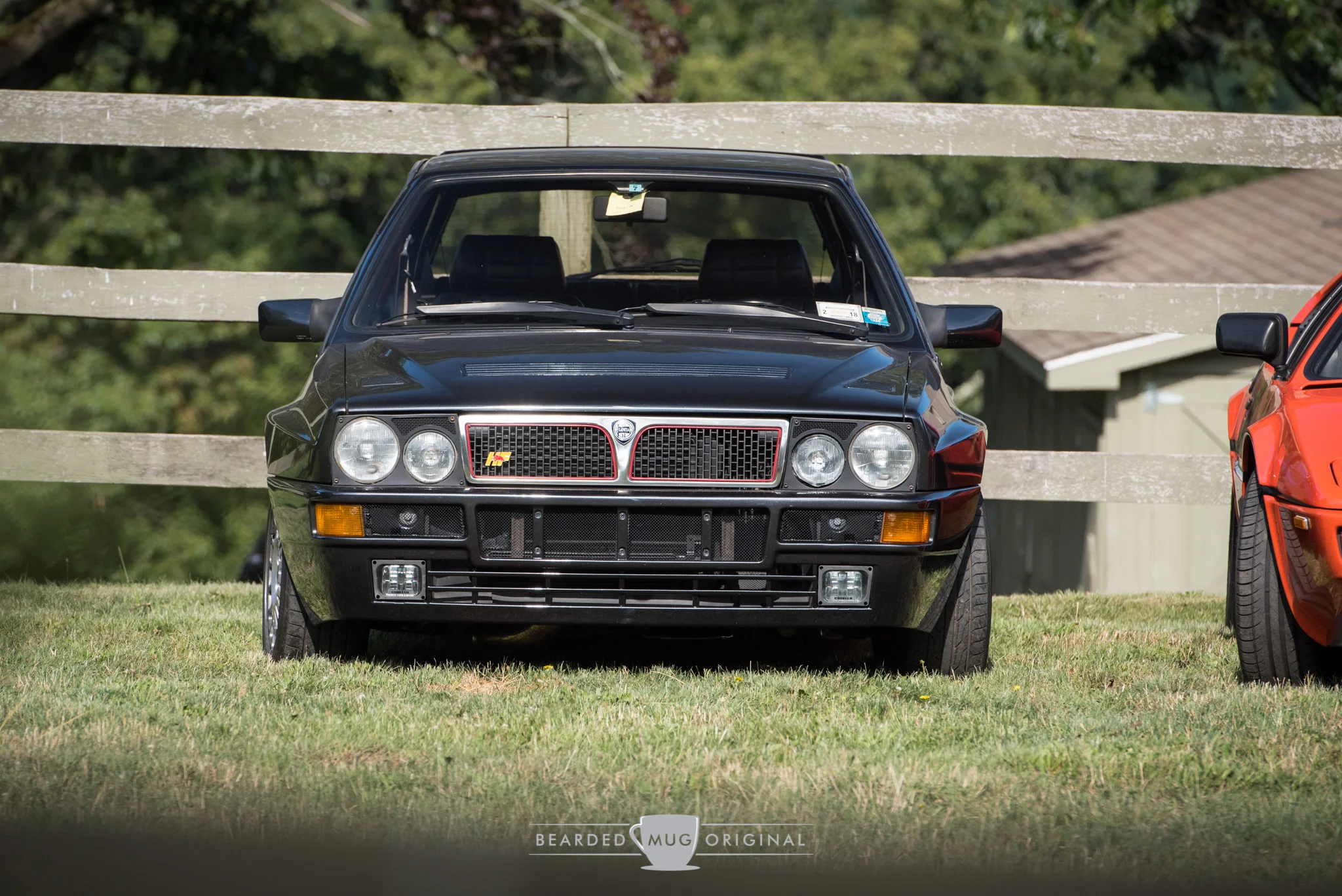 DSC_0984.jpg