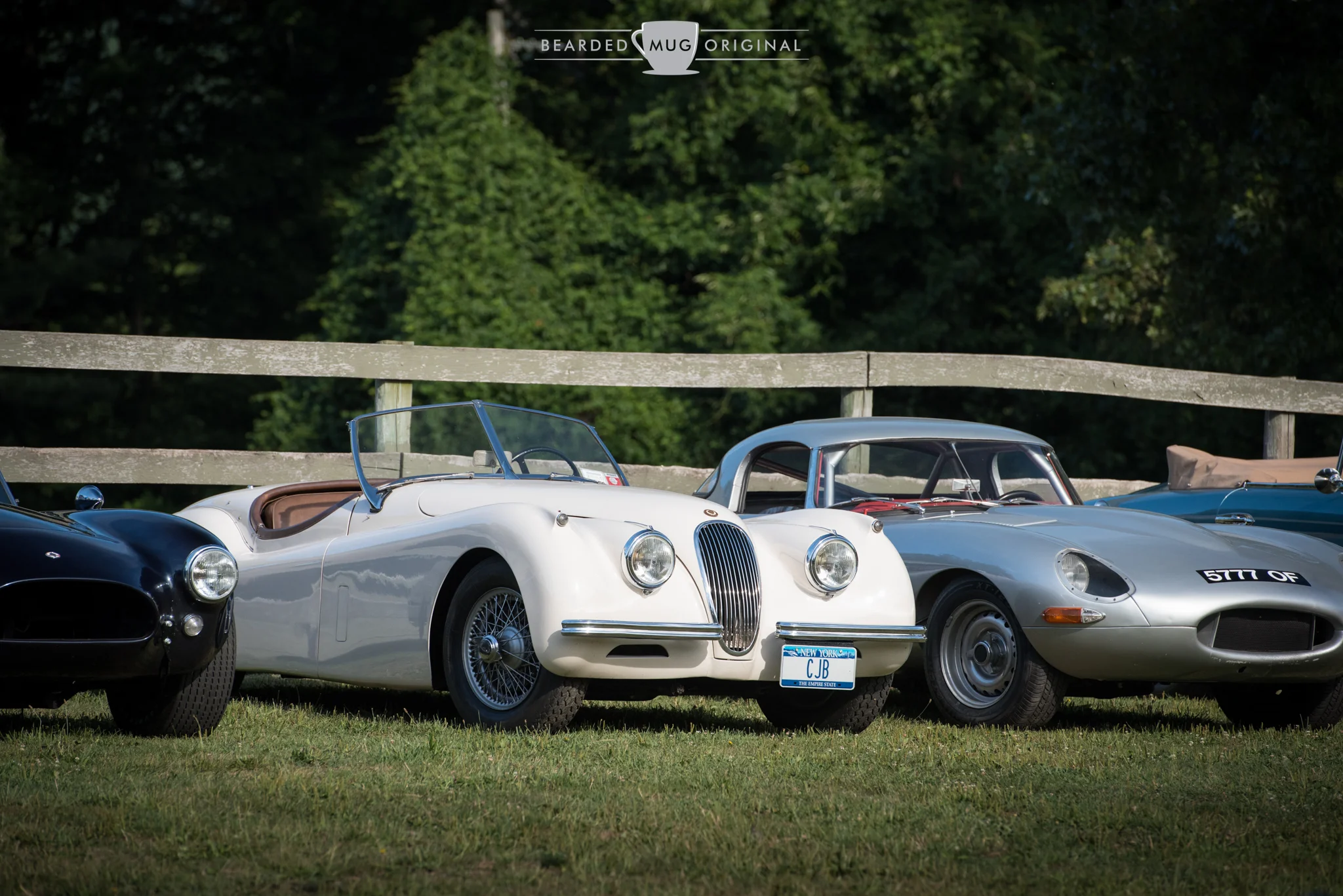DSC_0966.jpg