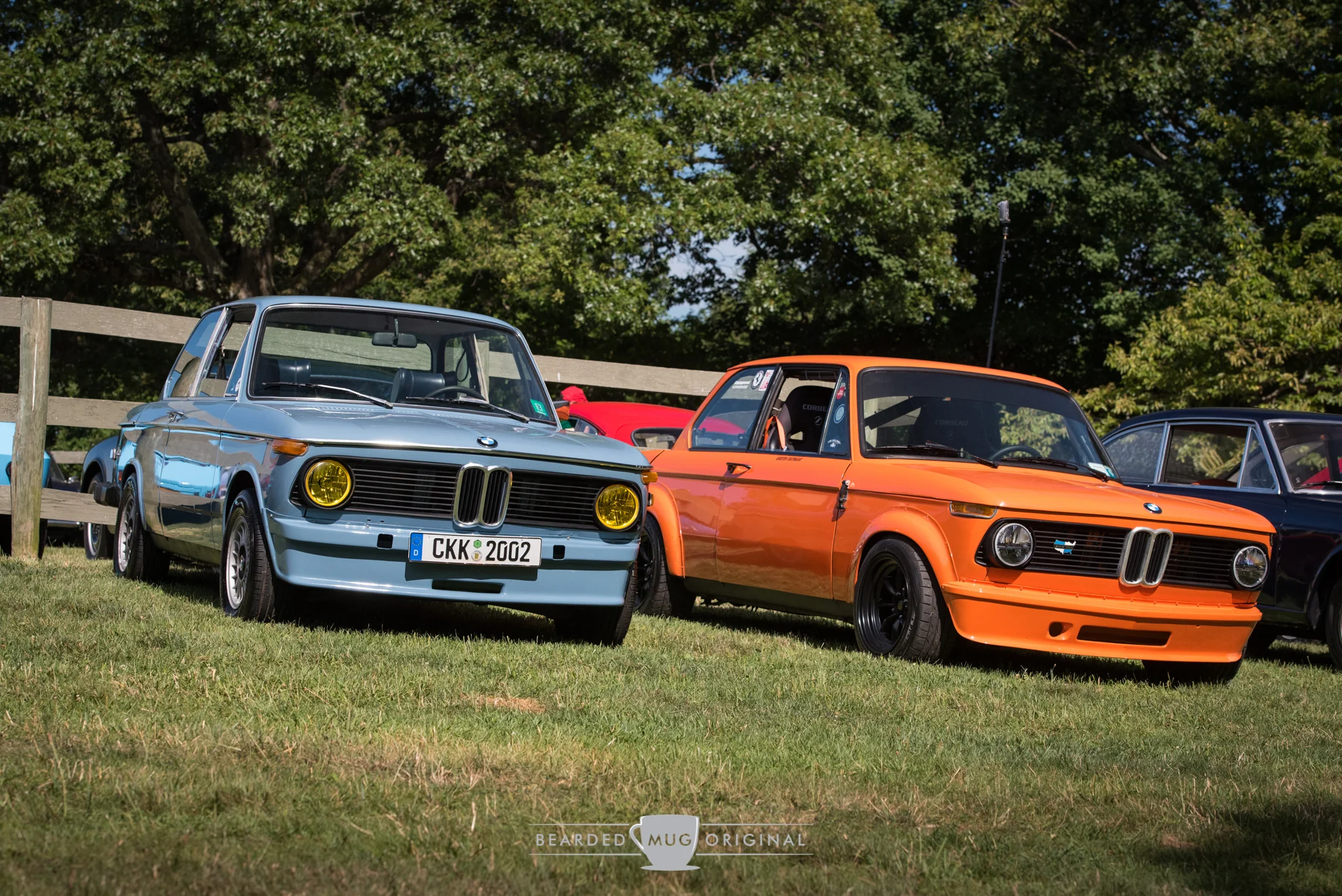 DSC_1110.jpg