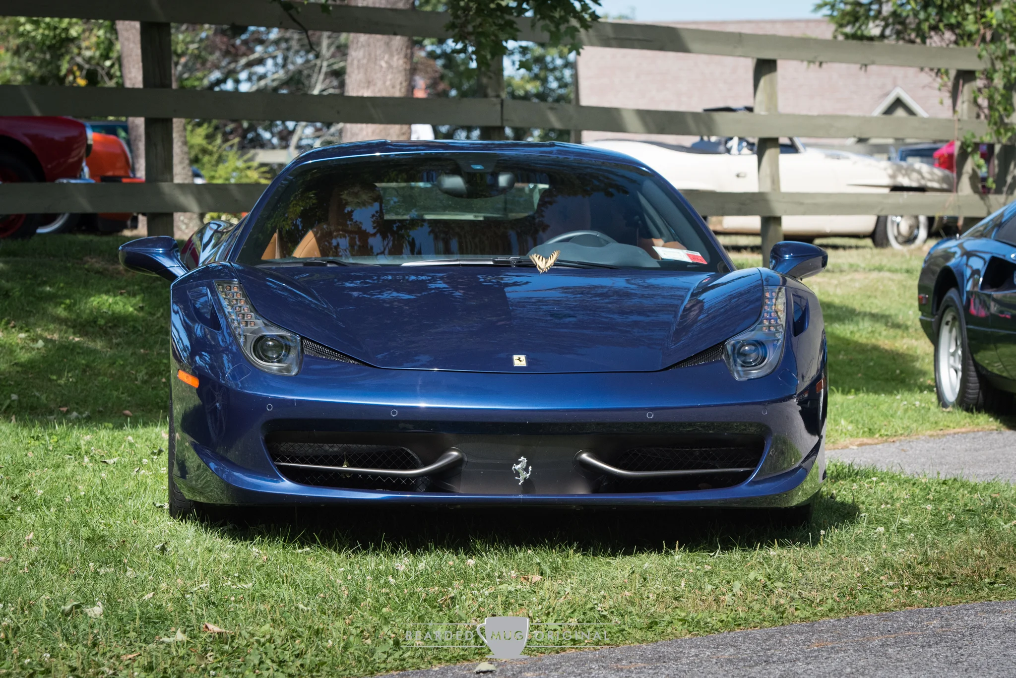 DSC_1175.jpg