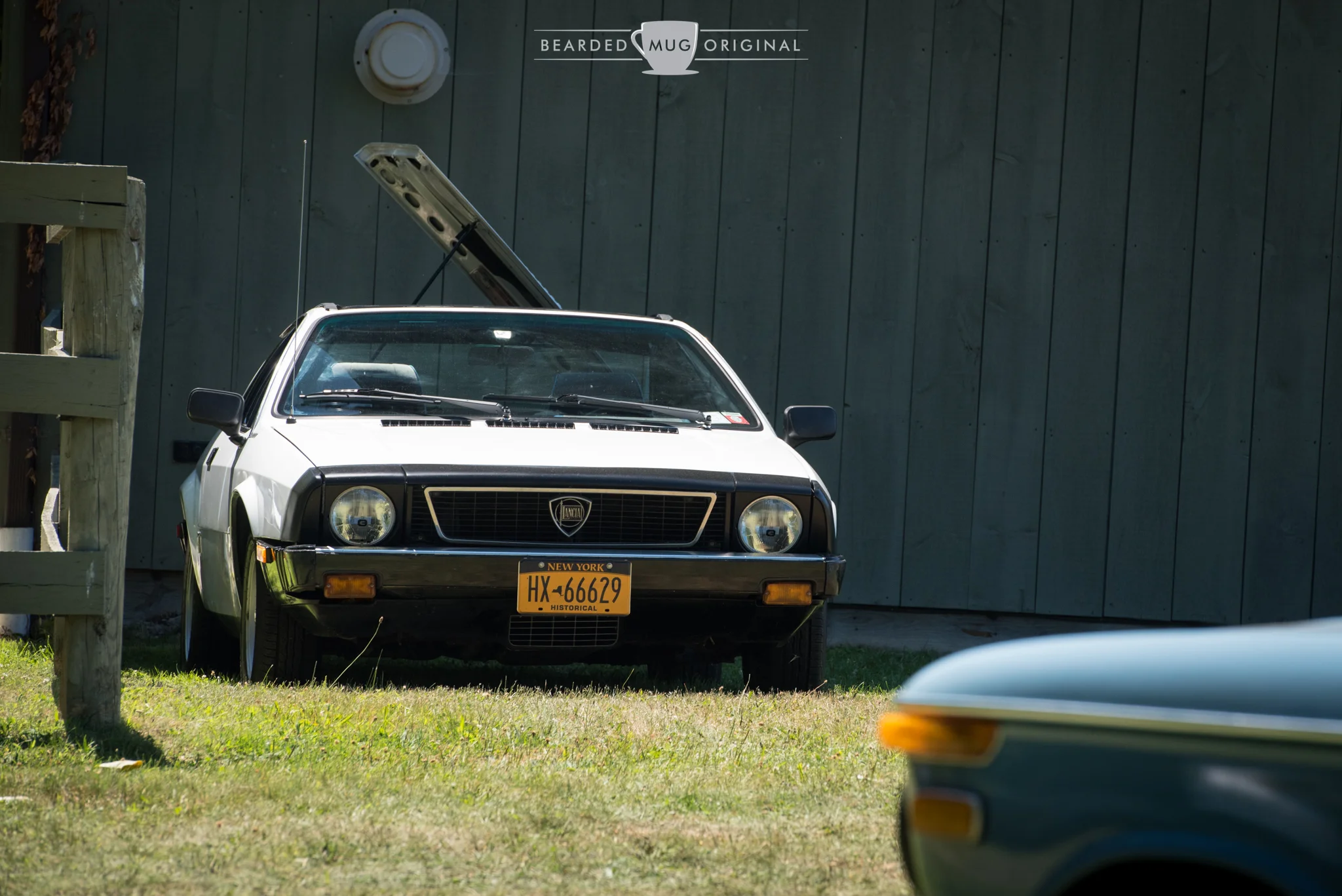 DSC_2192.jpg