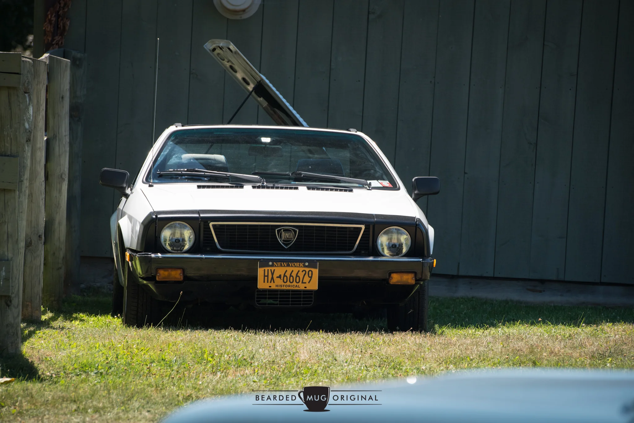 DSC_2194.jpg