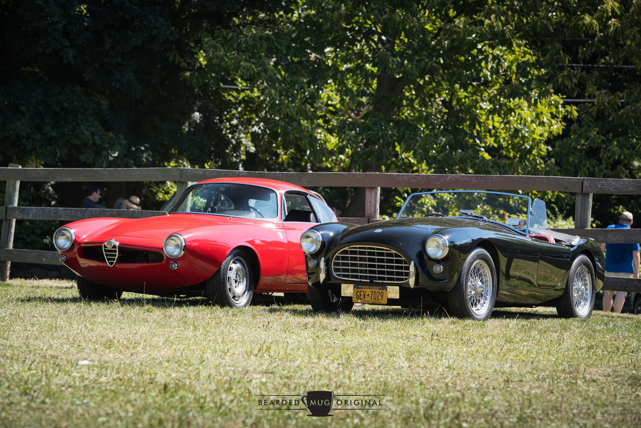 DSC_2162.jpg