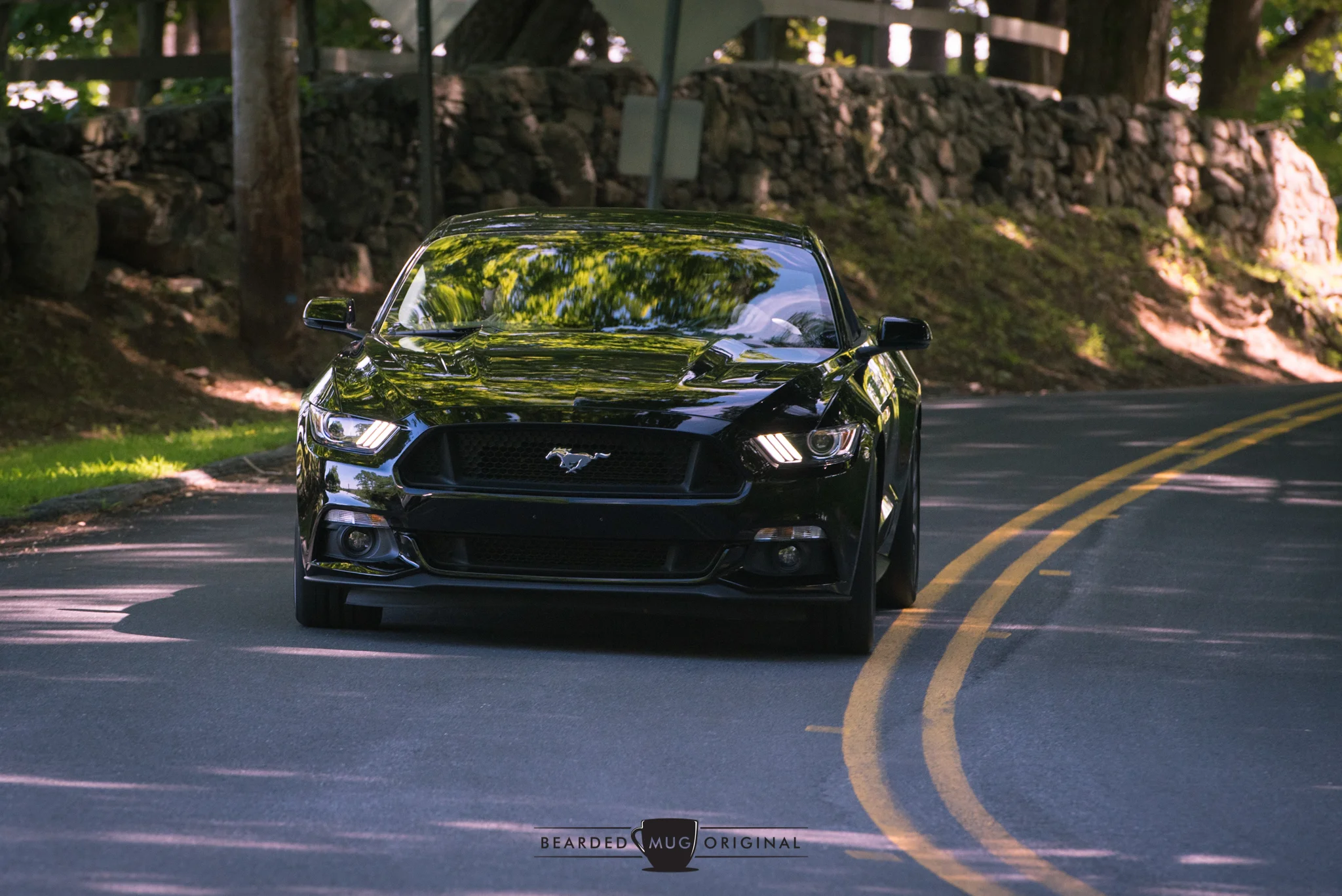 DSC_1277.jpg