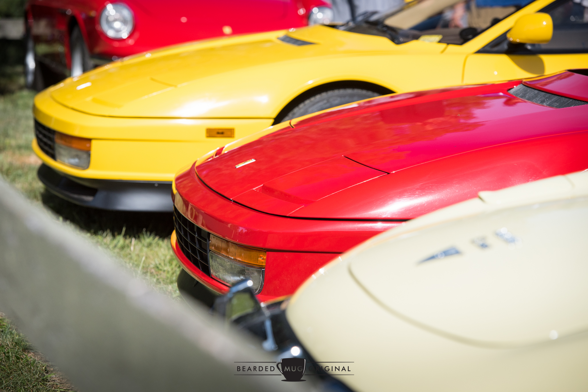 DSC_1068.jpg