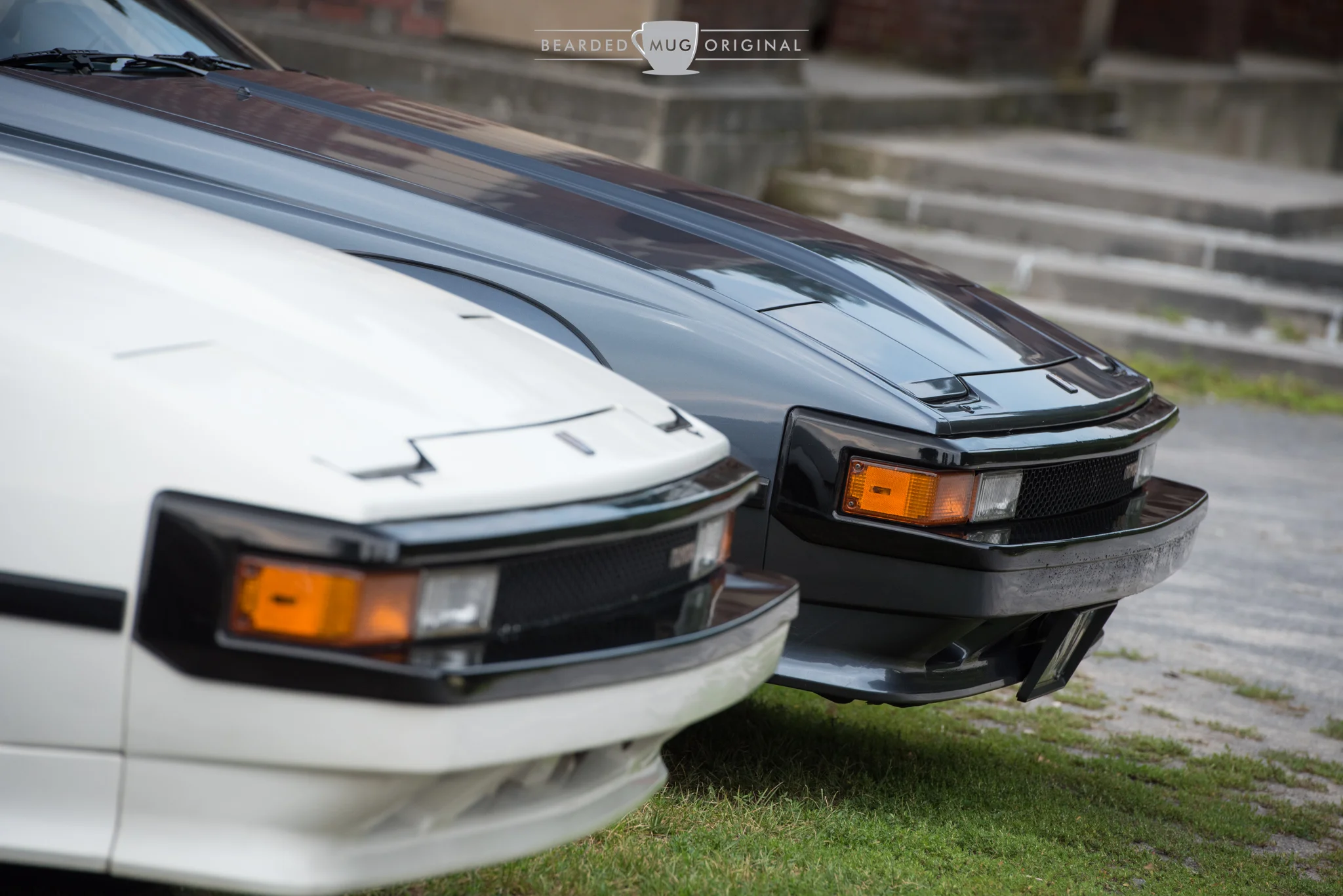 DSC_5176.jpg