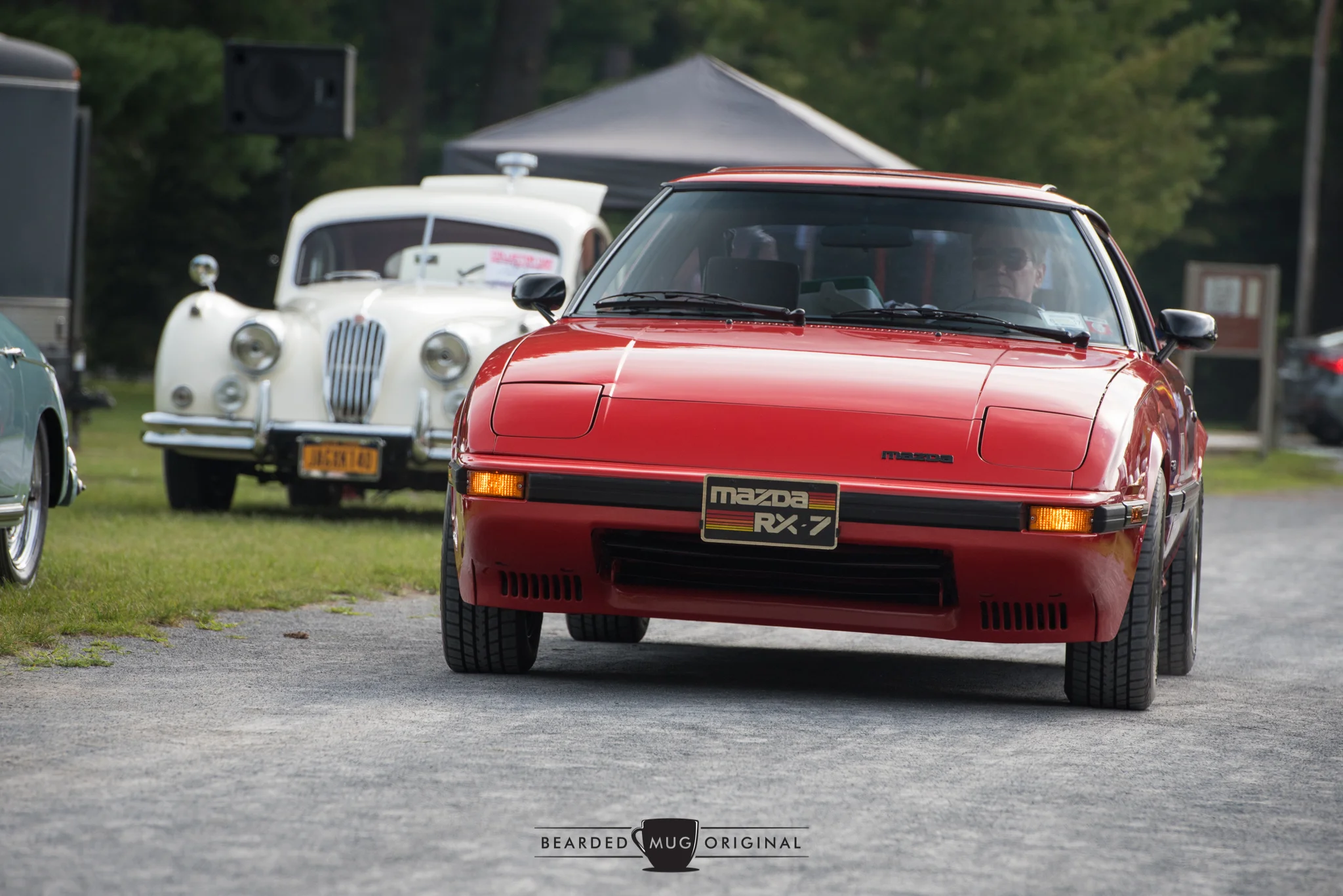 DSC_5365.jpg
