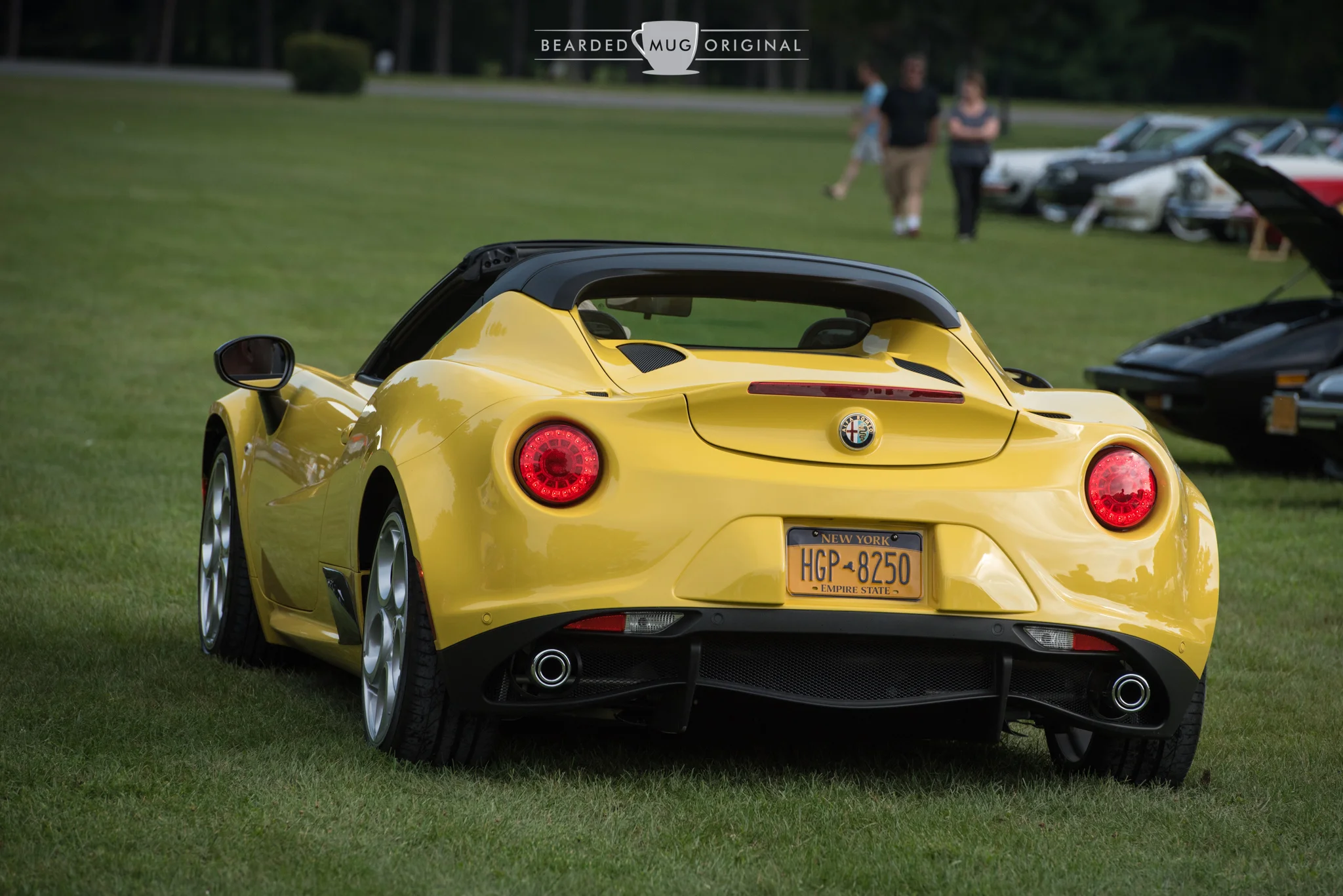 DSC_5391.jpg
