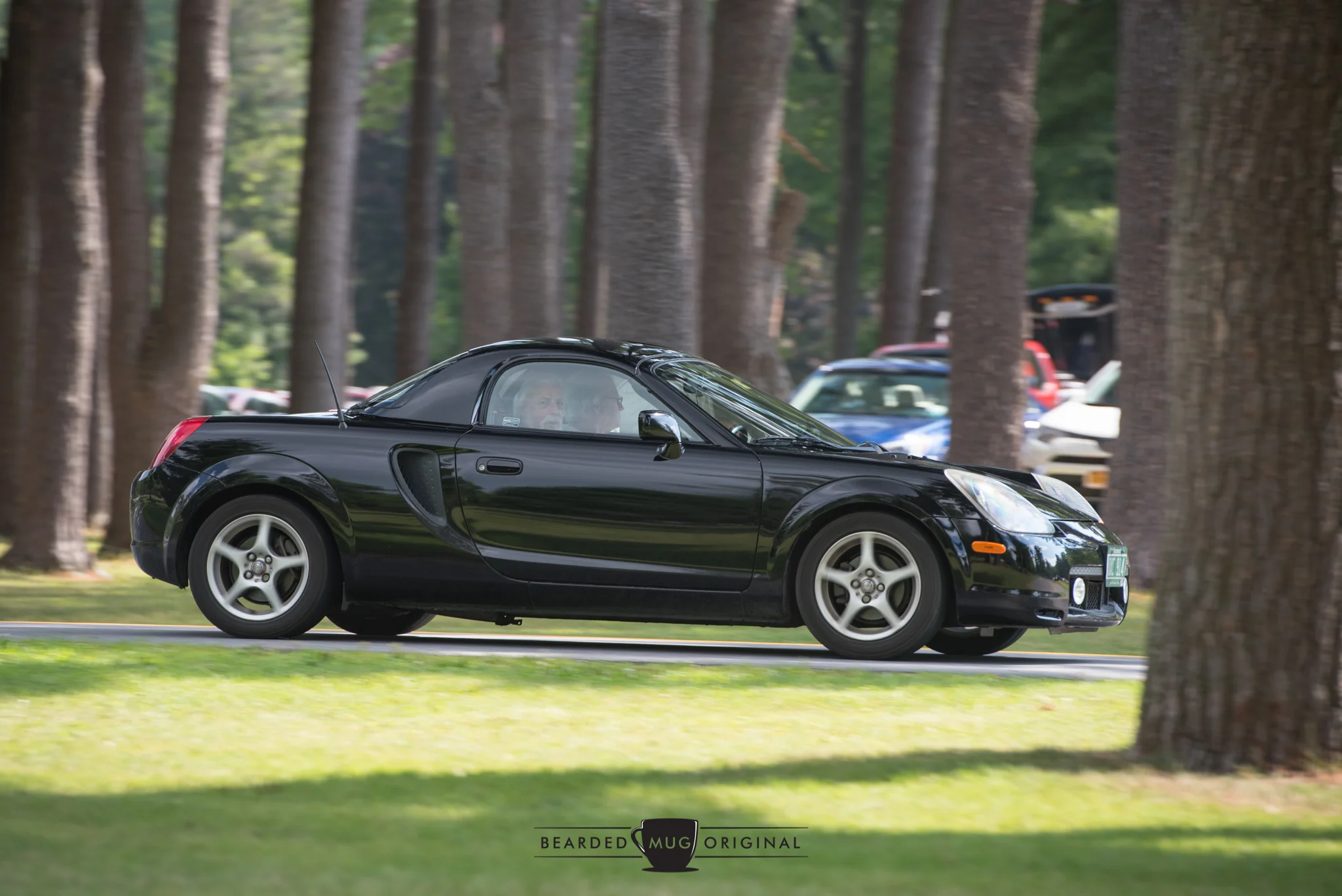 DSC_5566.jpg
