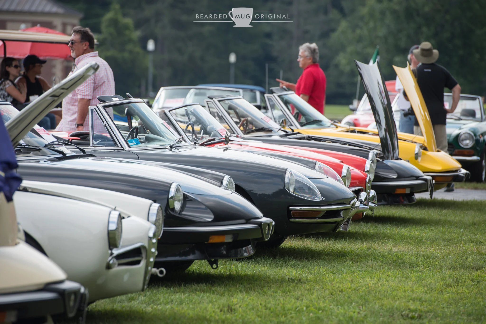 DSC_5595.jpg