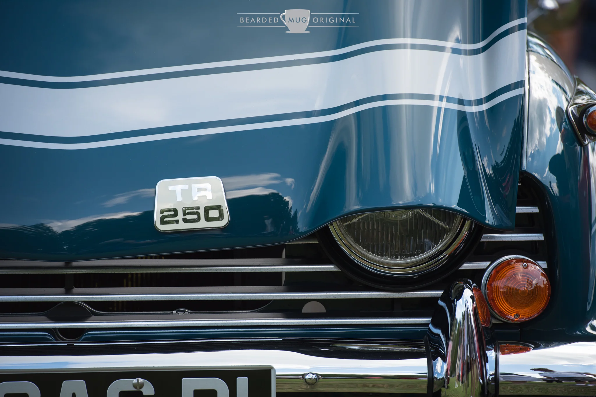 DSC_5647.jpg