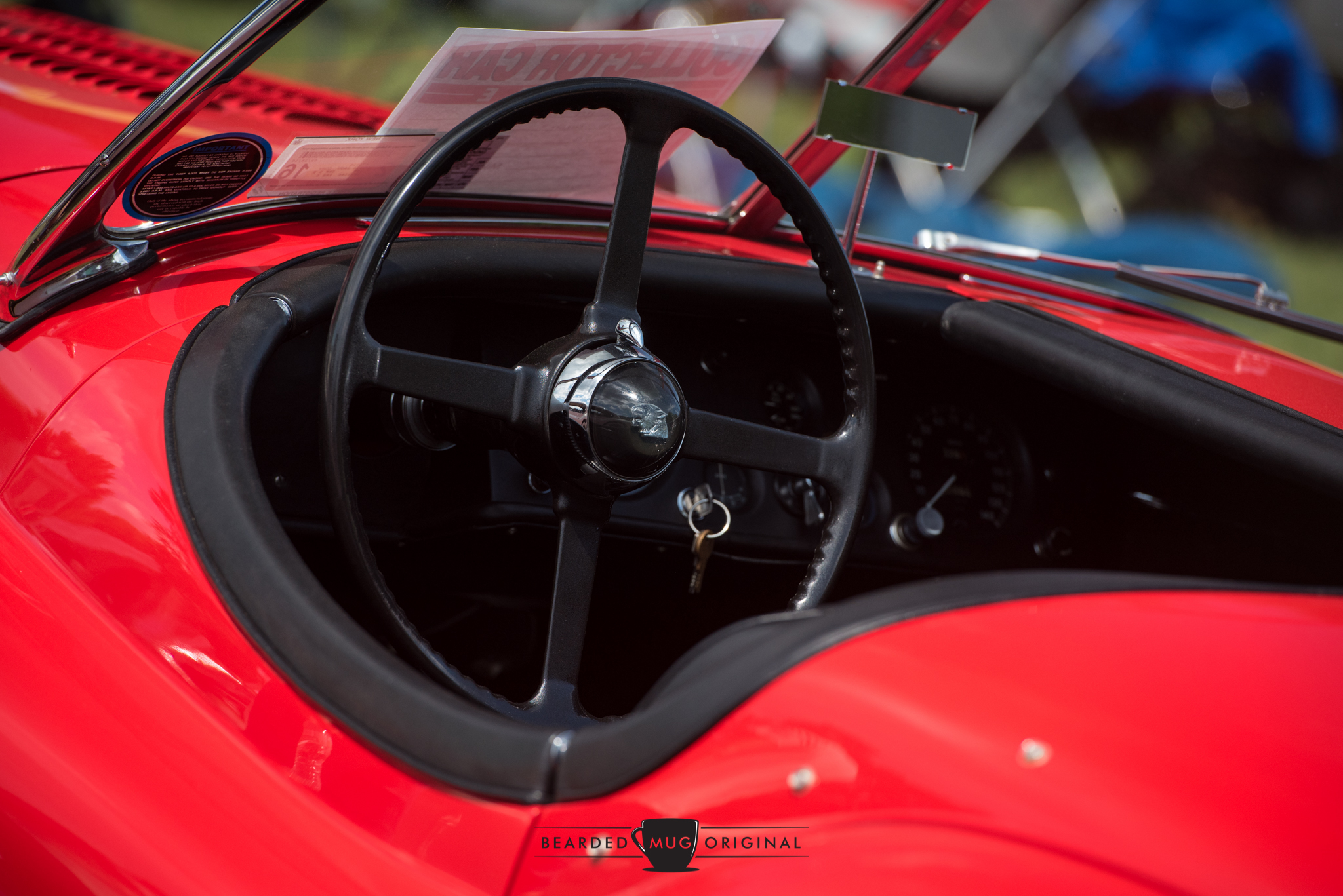 DSC_5667.jpg