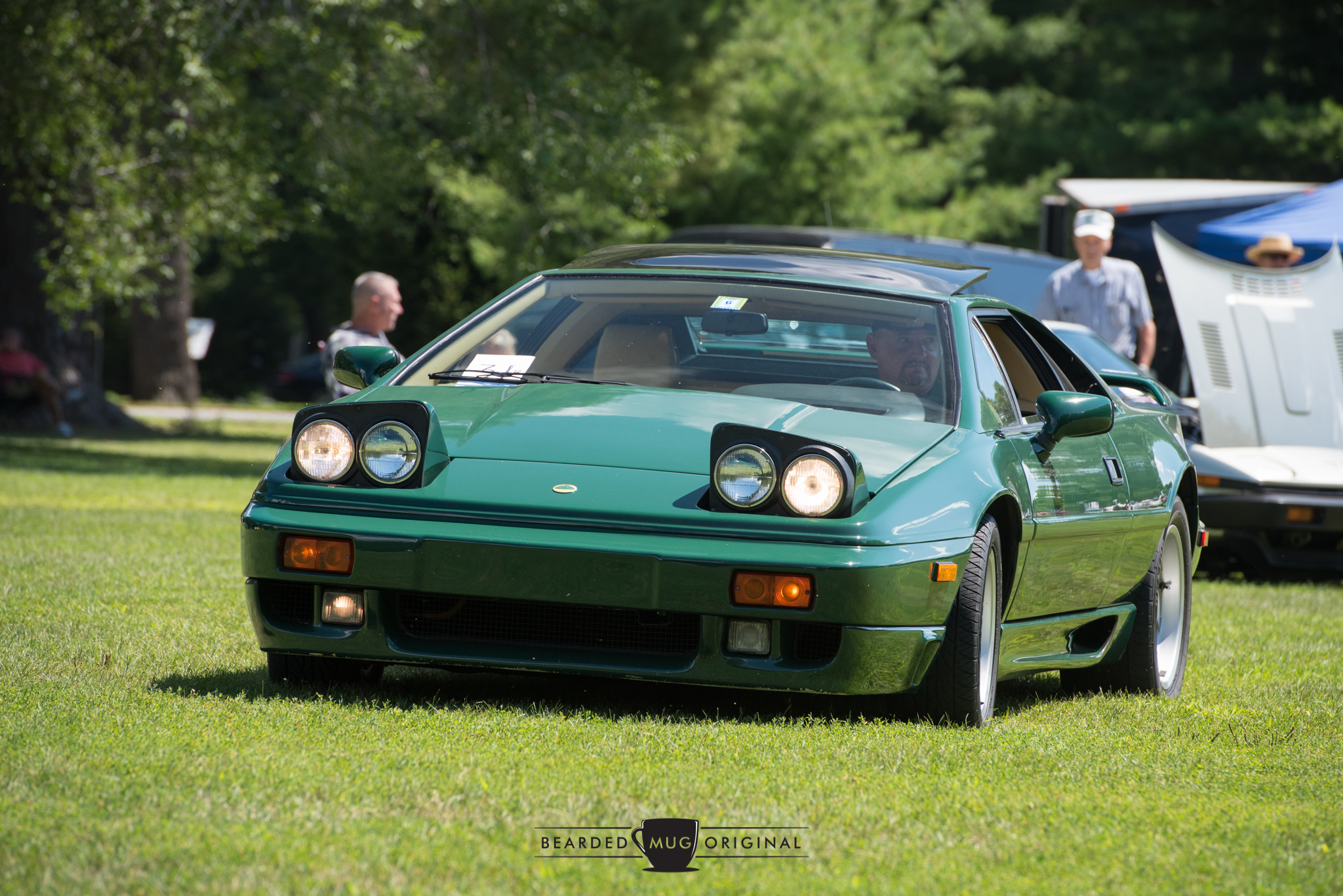 DSC_5772.jpg
