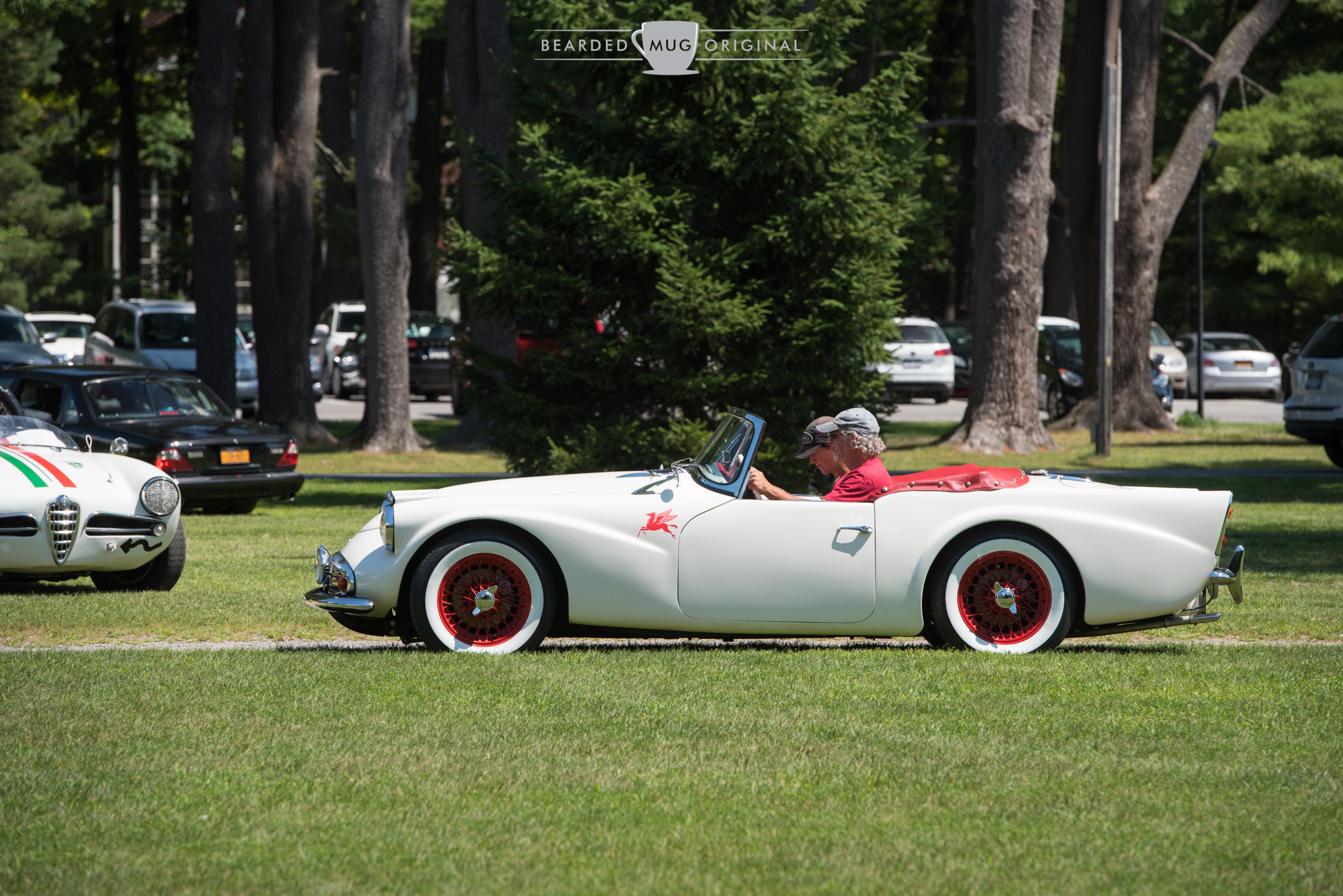 DSC_5786.jpg