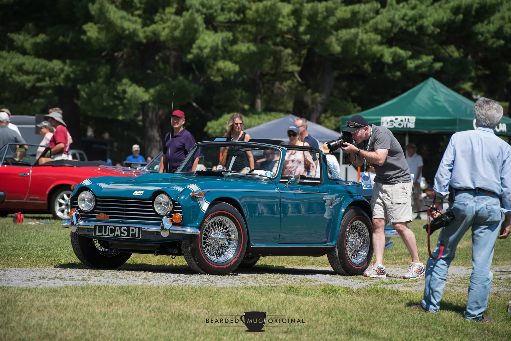 DSC_6173.jpg