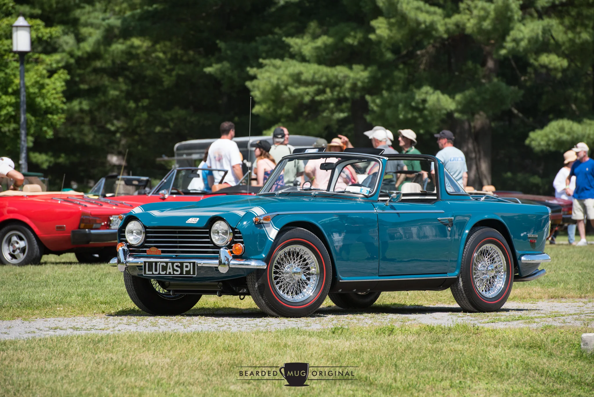 DSC_6203.jpg