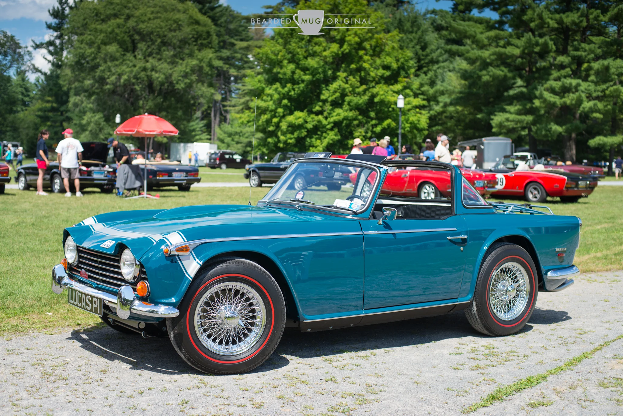 DSC_8274.jpg