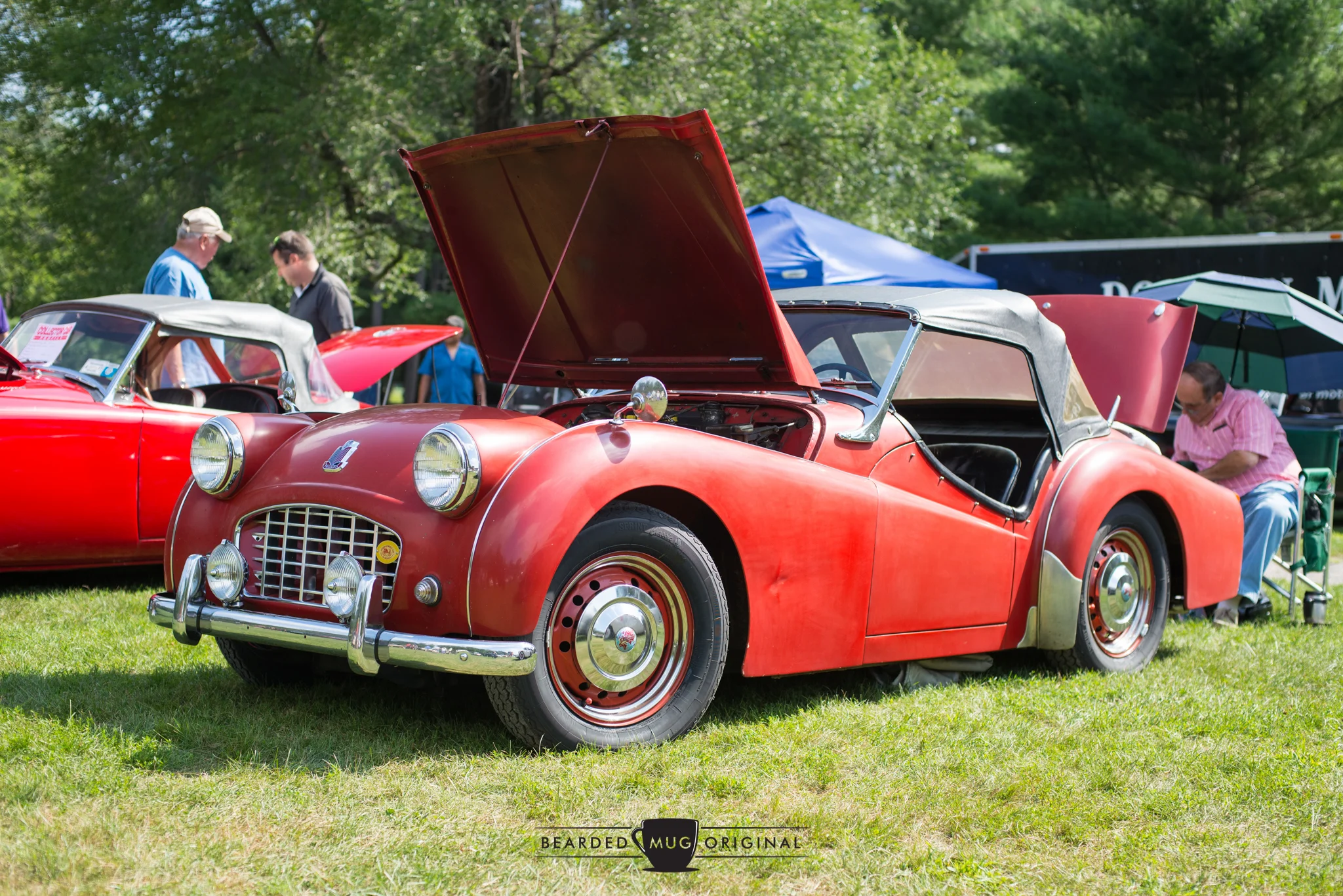 DSC_8251.jpg