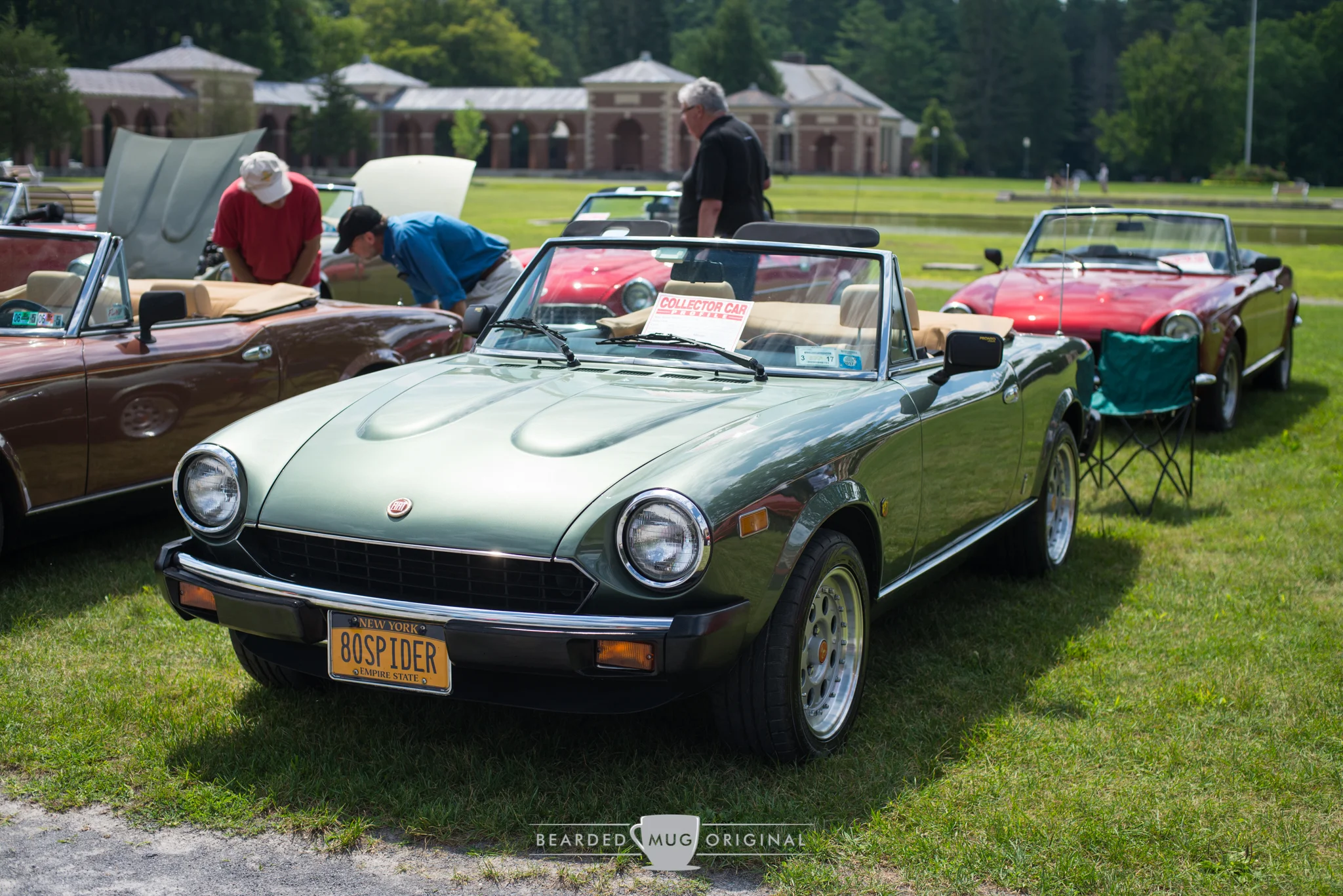 DSC_8265.jpg